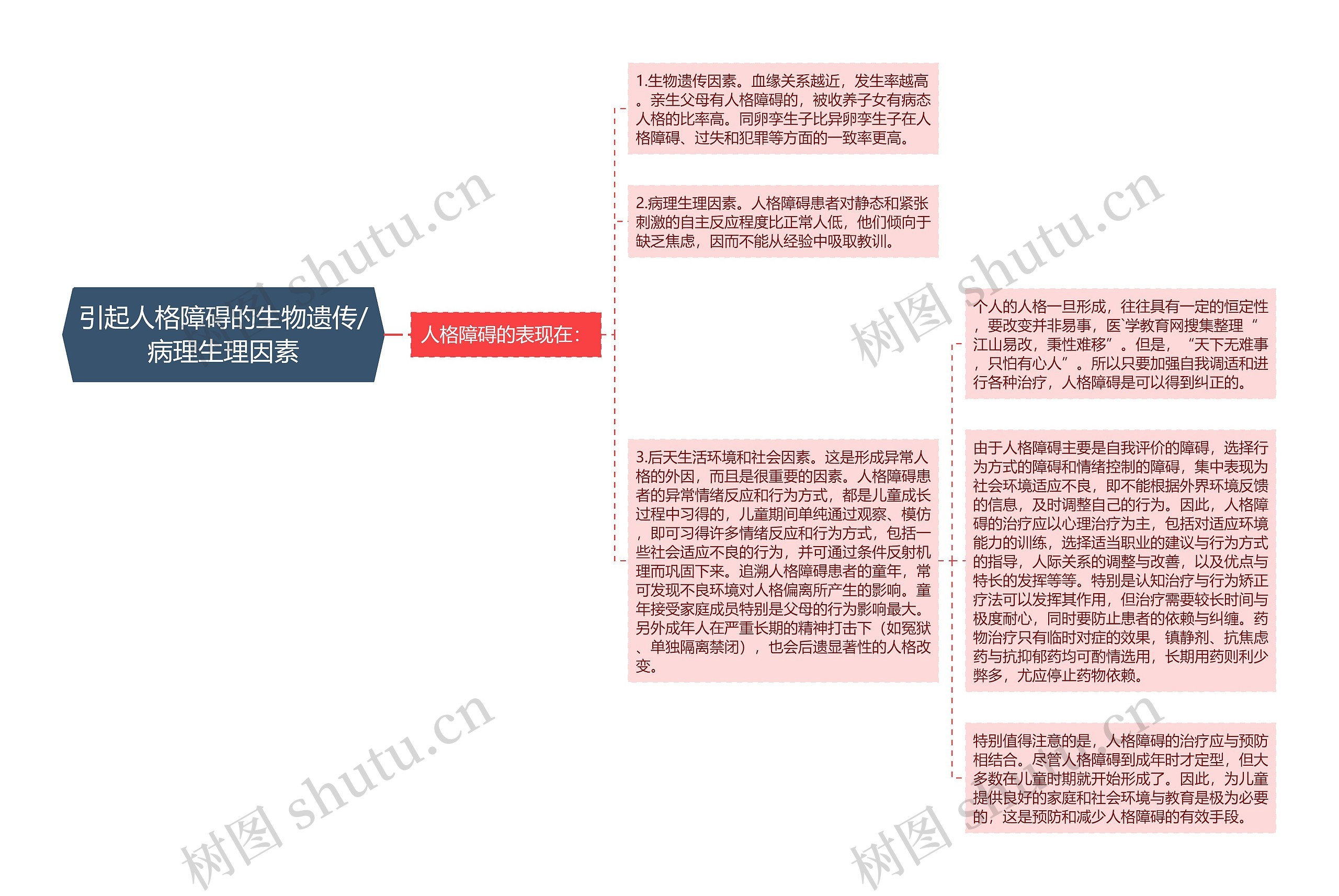 引起人格障碍的生物遗传/病理生理因素思维导图