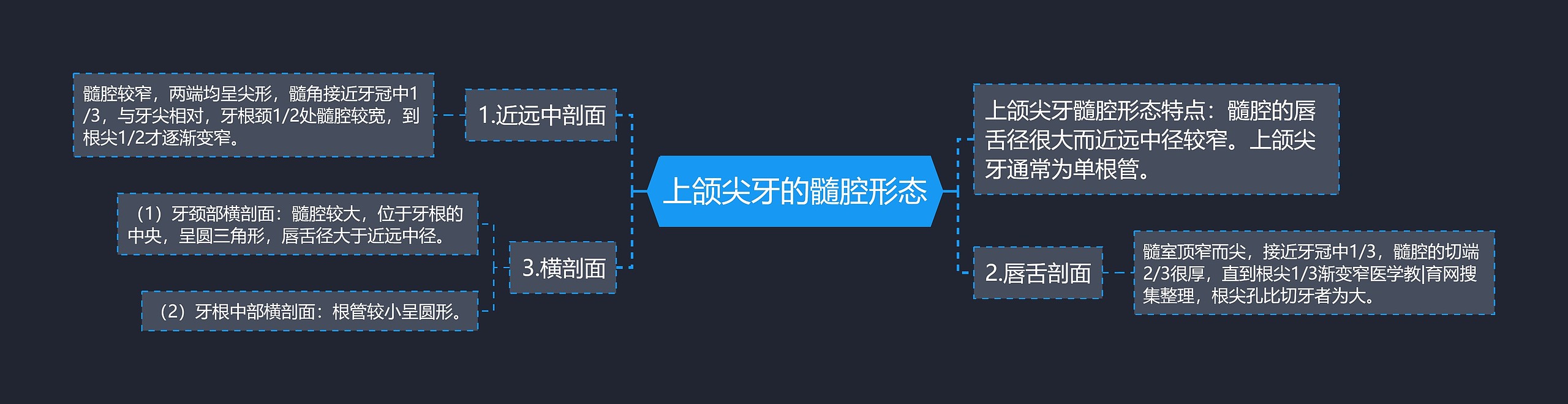 上颌尖牙的髓腔形态思维导图