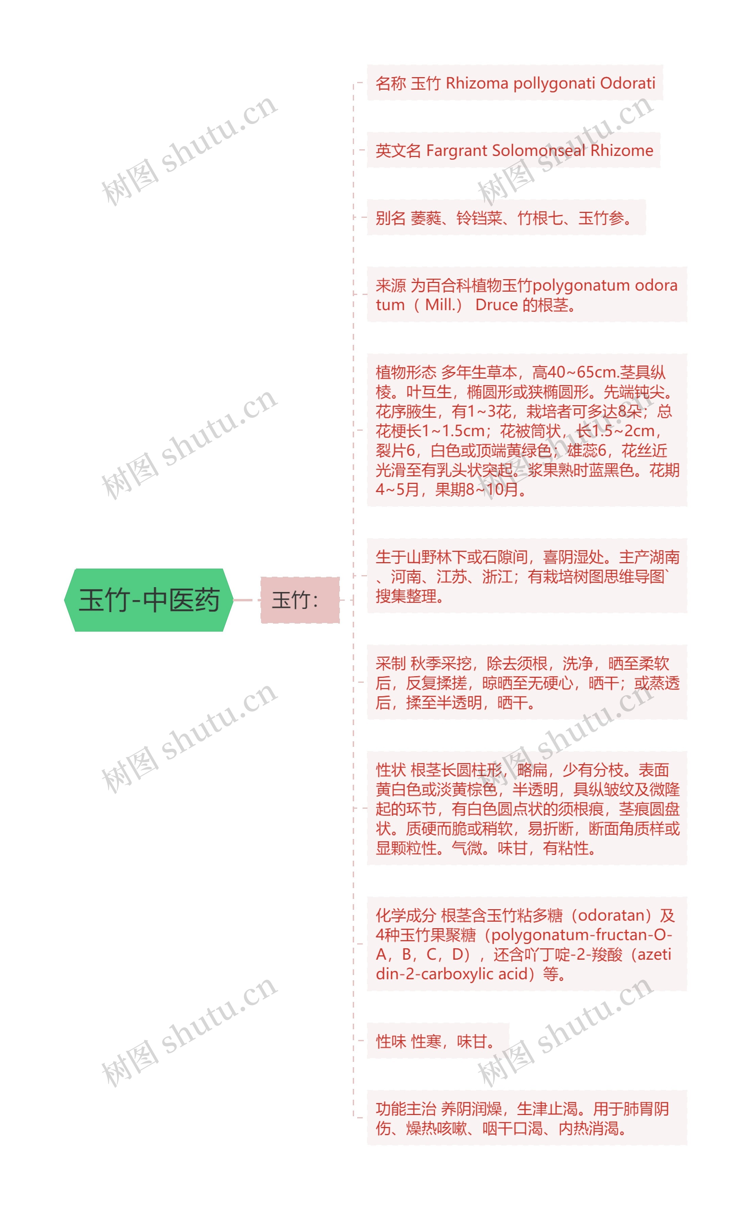 玉竹-中医药思维导图