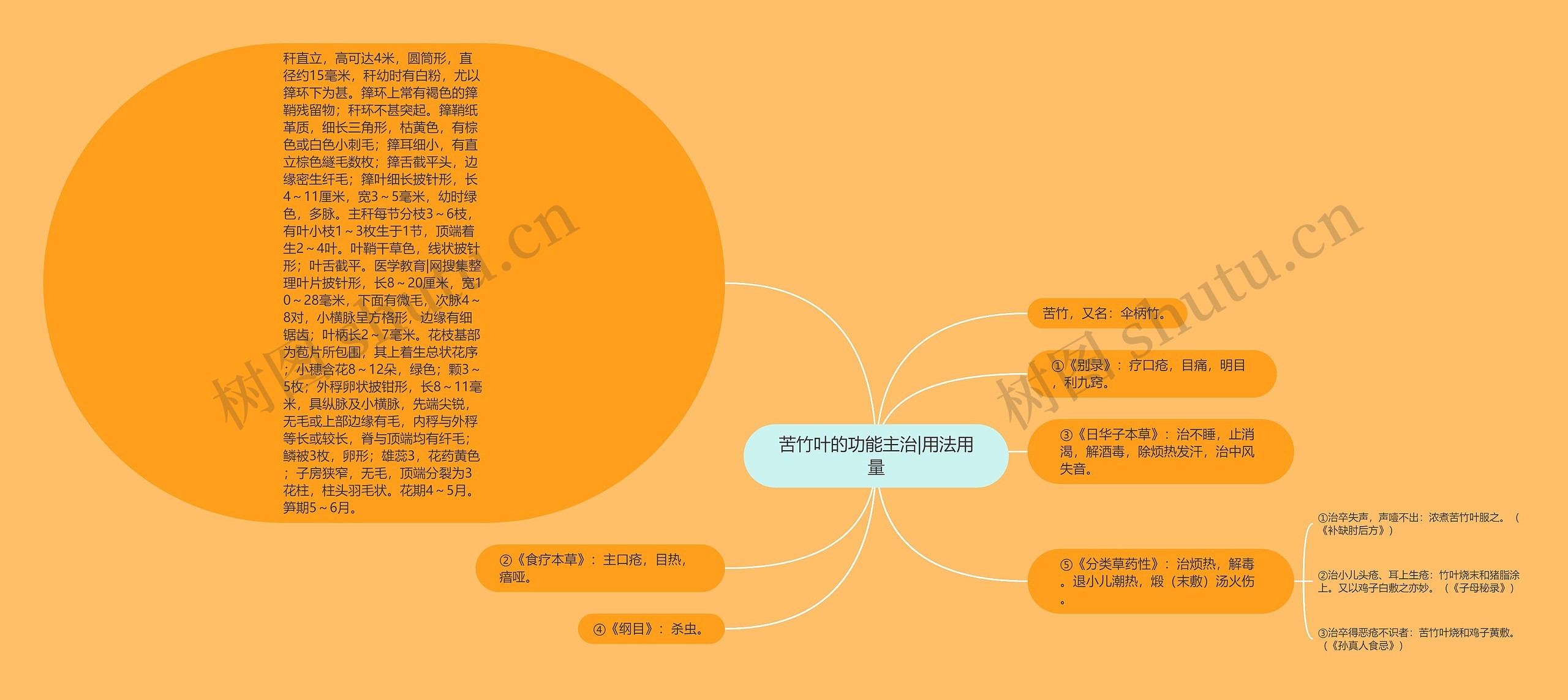 苦竹叶的功能主治|用法用量思维导图