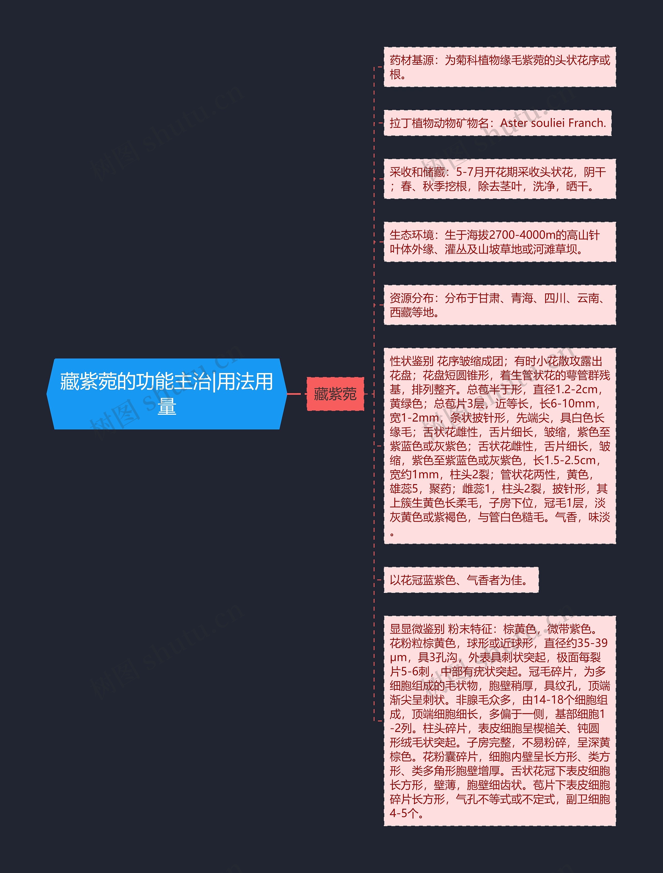 藏紫菀的功能主治|用法用量思维导图