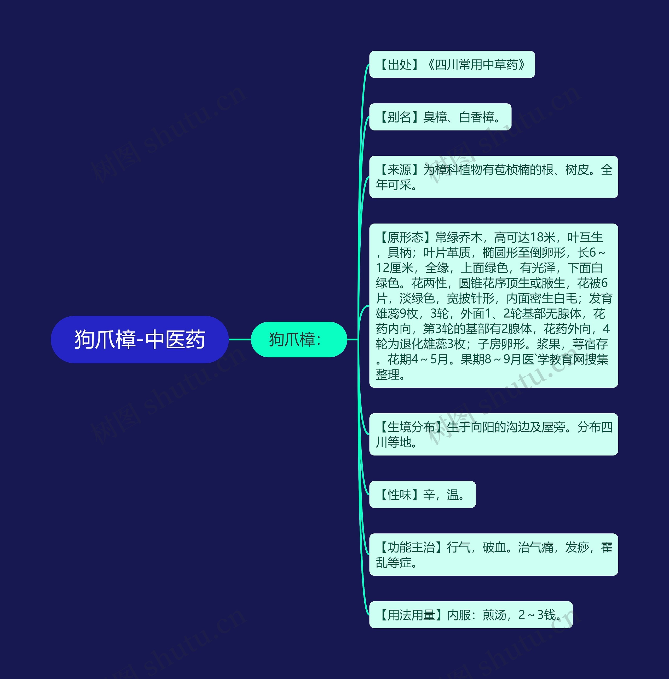 狗爪樟-中医药 狗爪樟-中医药