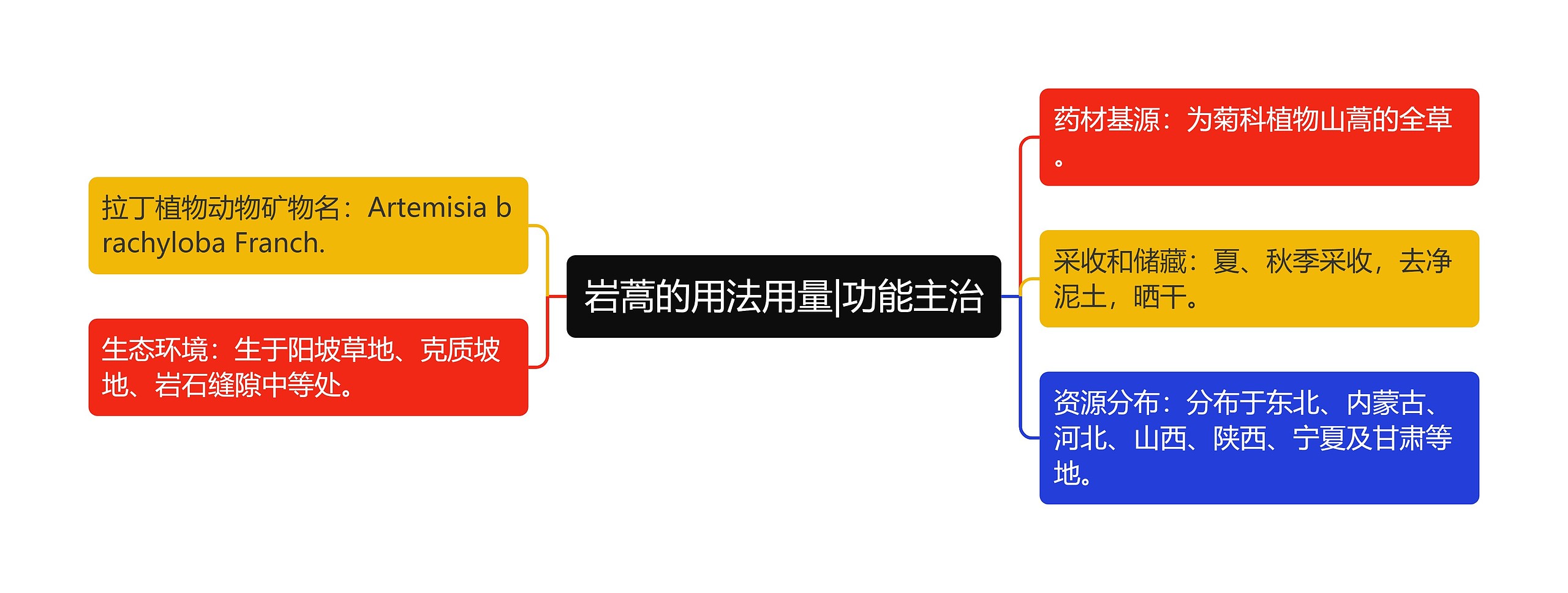 岩蒿的用法用量|功能主治思维导图