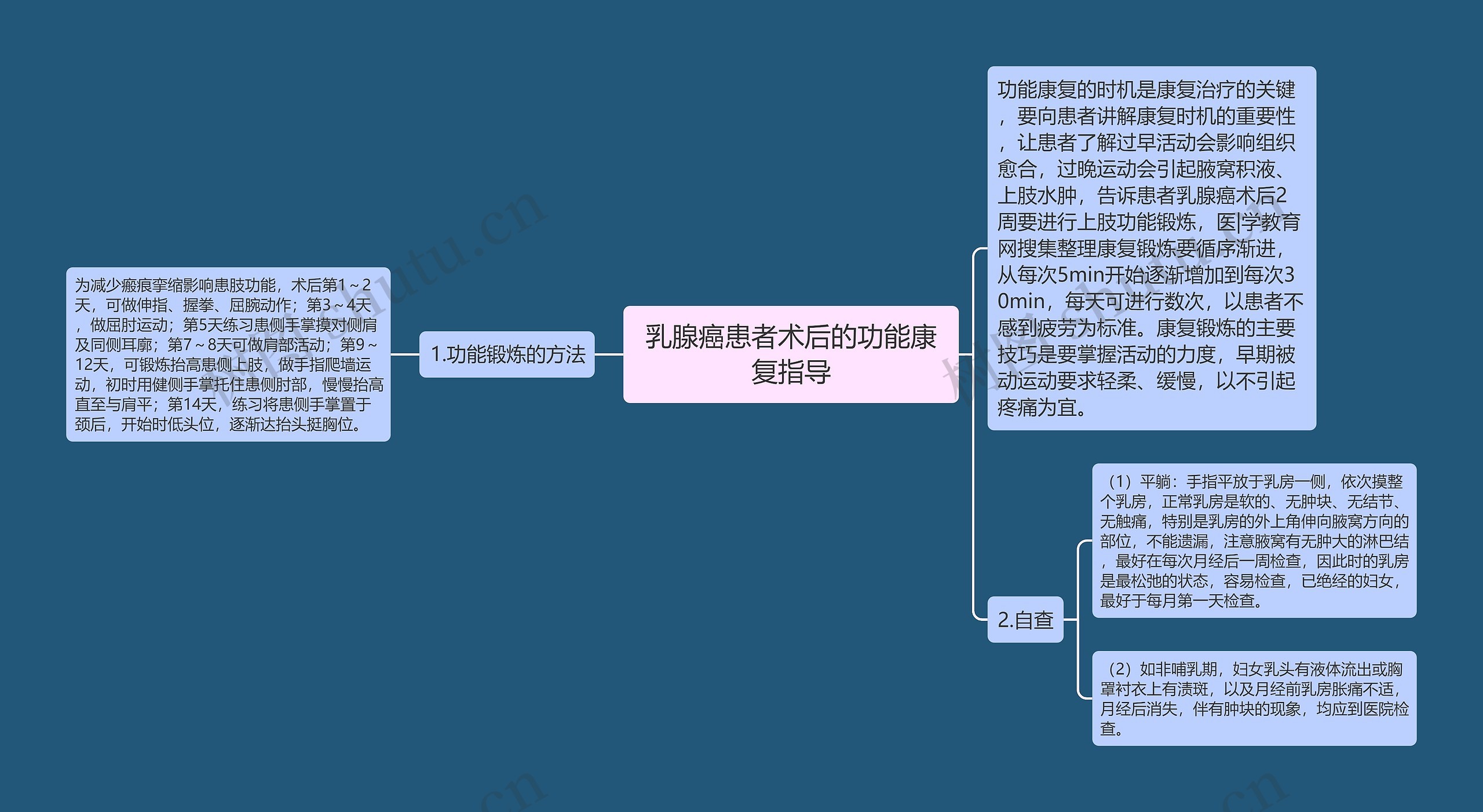 乳腺癌患者术后的功能康复指导思维导图