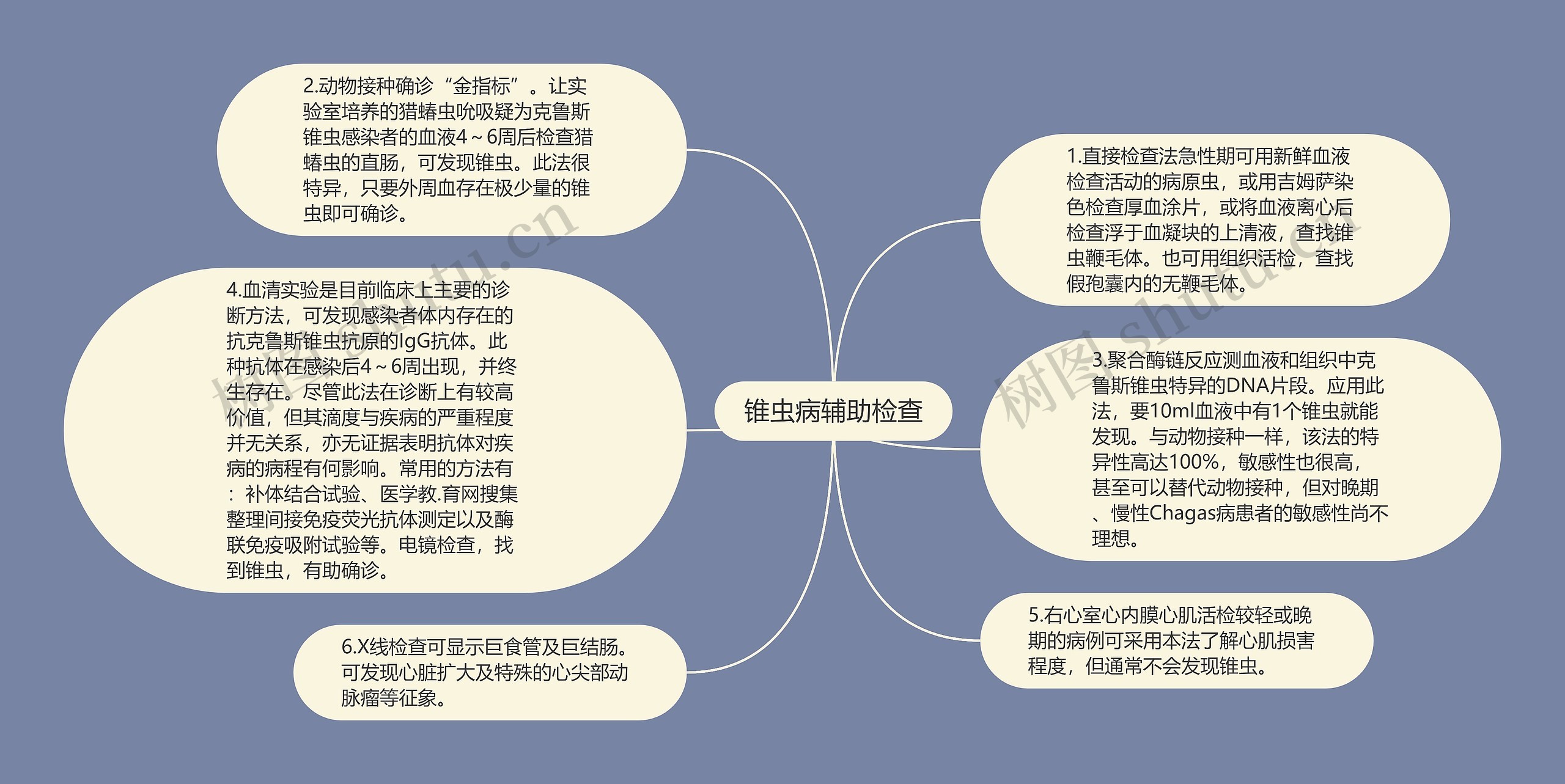 锥虫病辅助检查思维导图