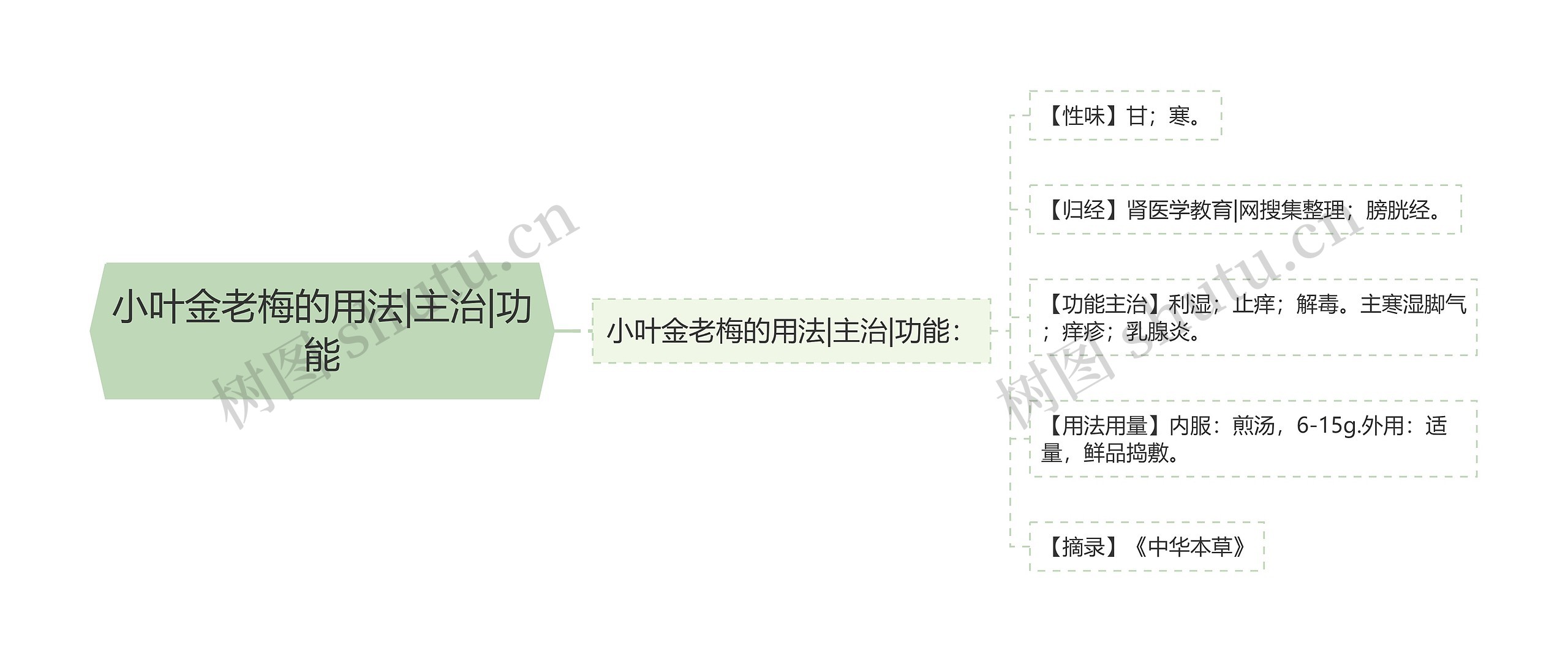 小叶金老梅的用法|主治|功能