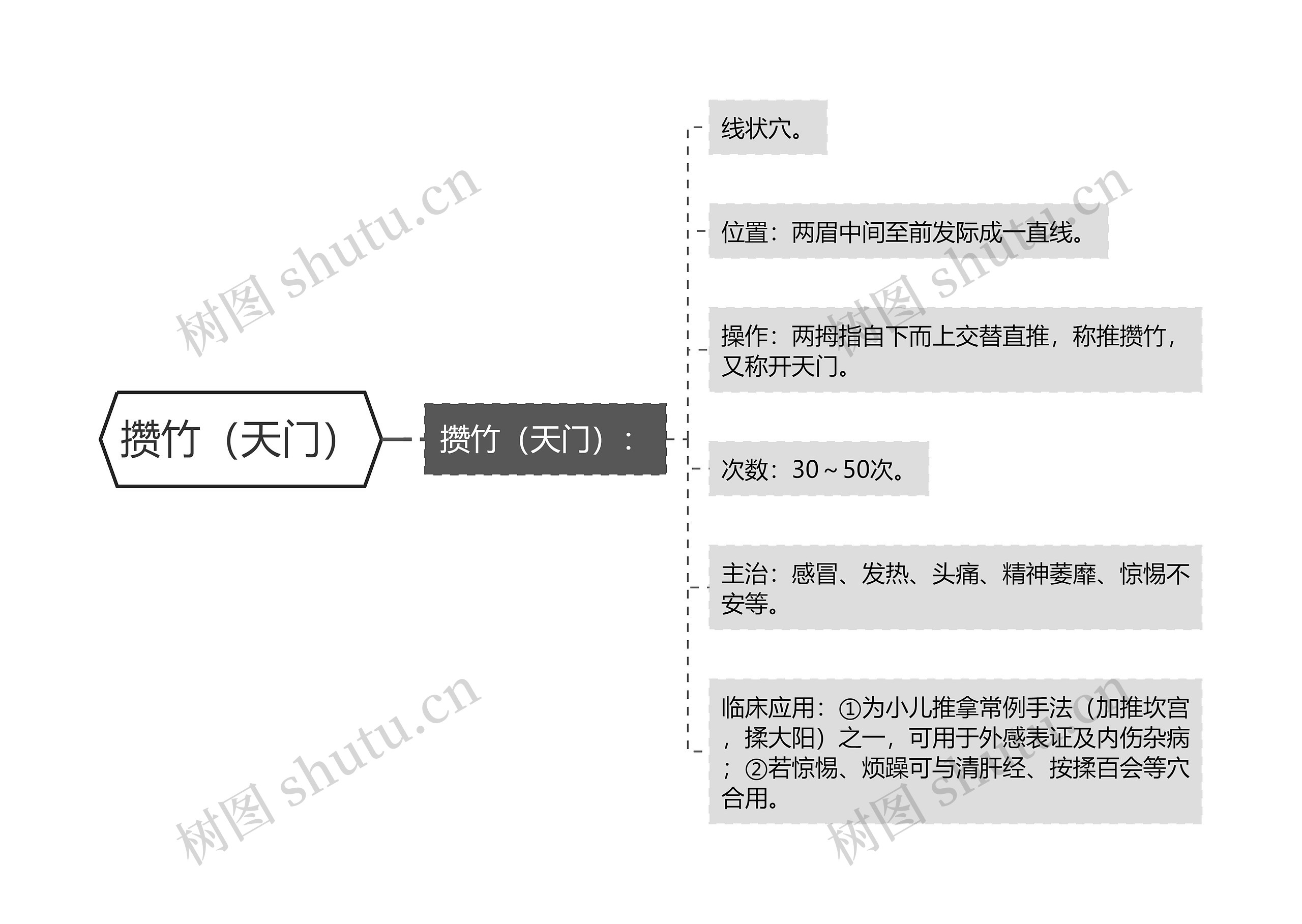 攒竹(天门) 攒竹(天门)