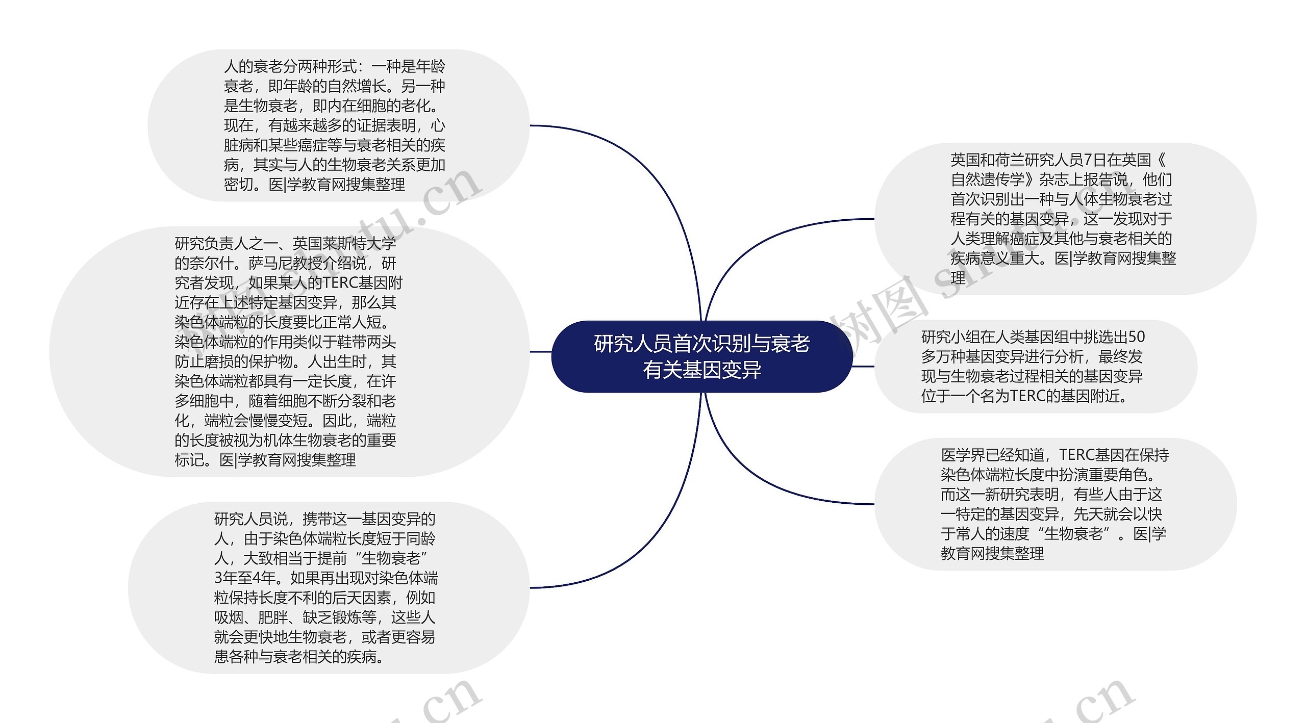 研究人员首次识别与衰老有关基因变异