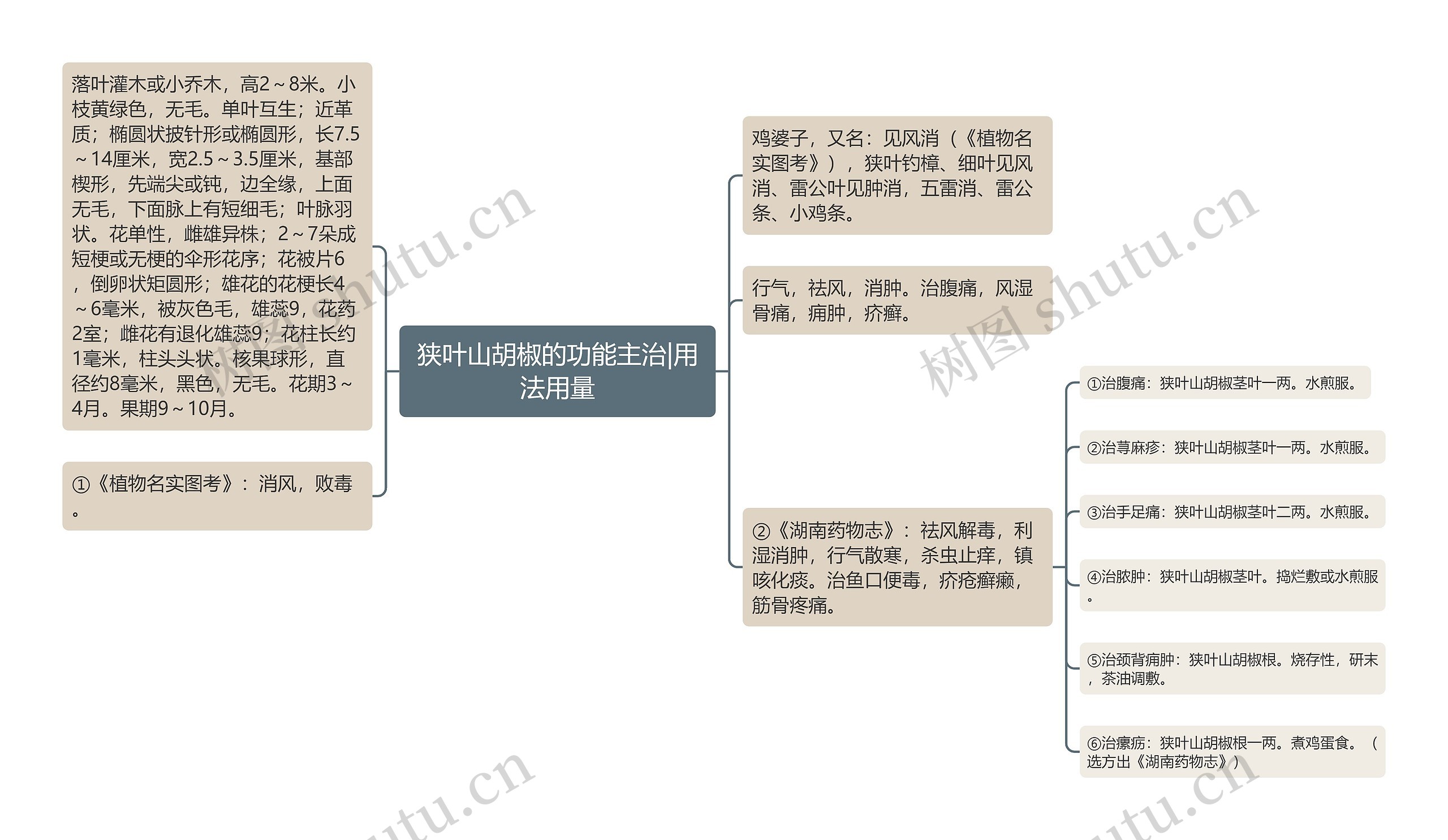 狭叶山胡椒的功能主治|用法用量