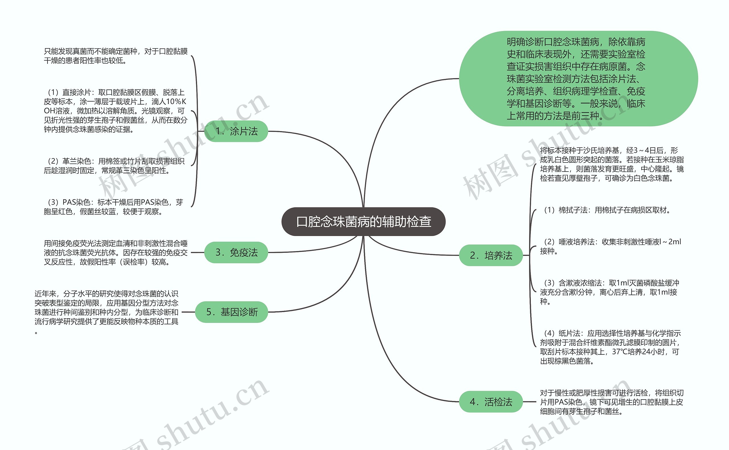 口腔念珠菌病的辅助检查思维导图