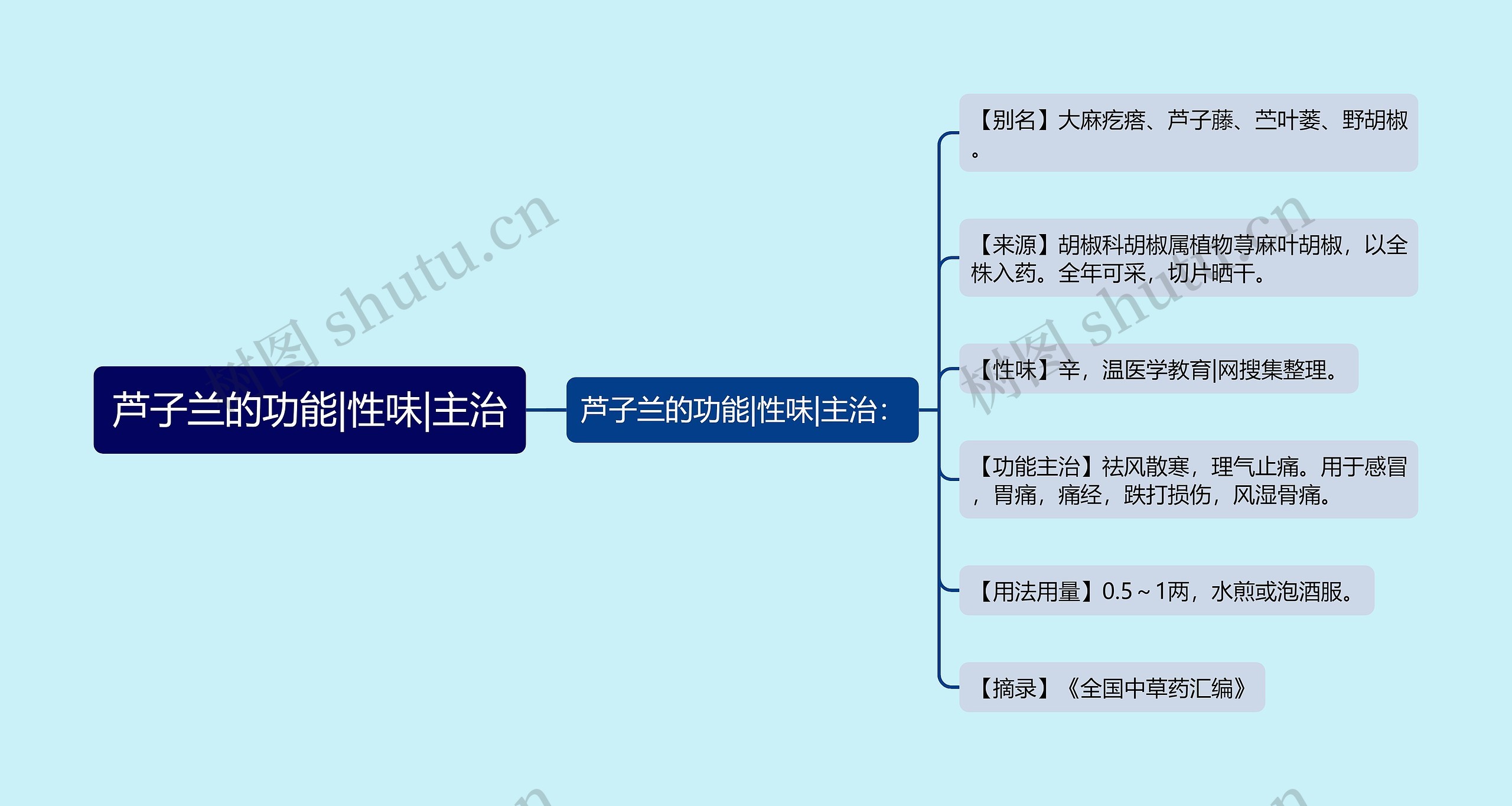 芦子兰的功能|性味|主治思维导图