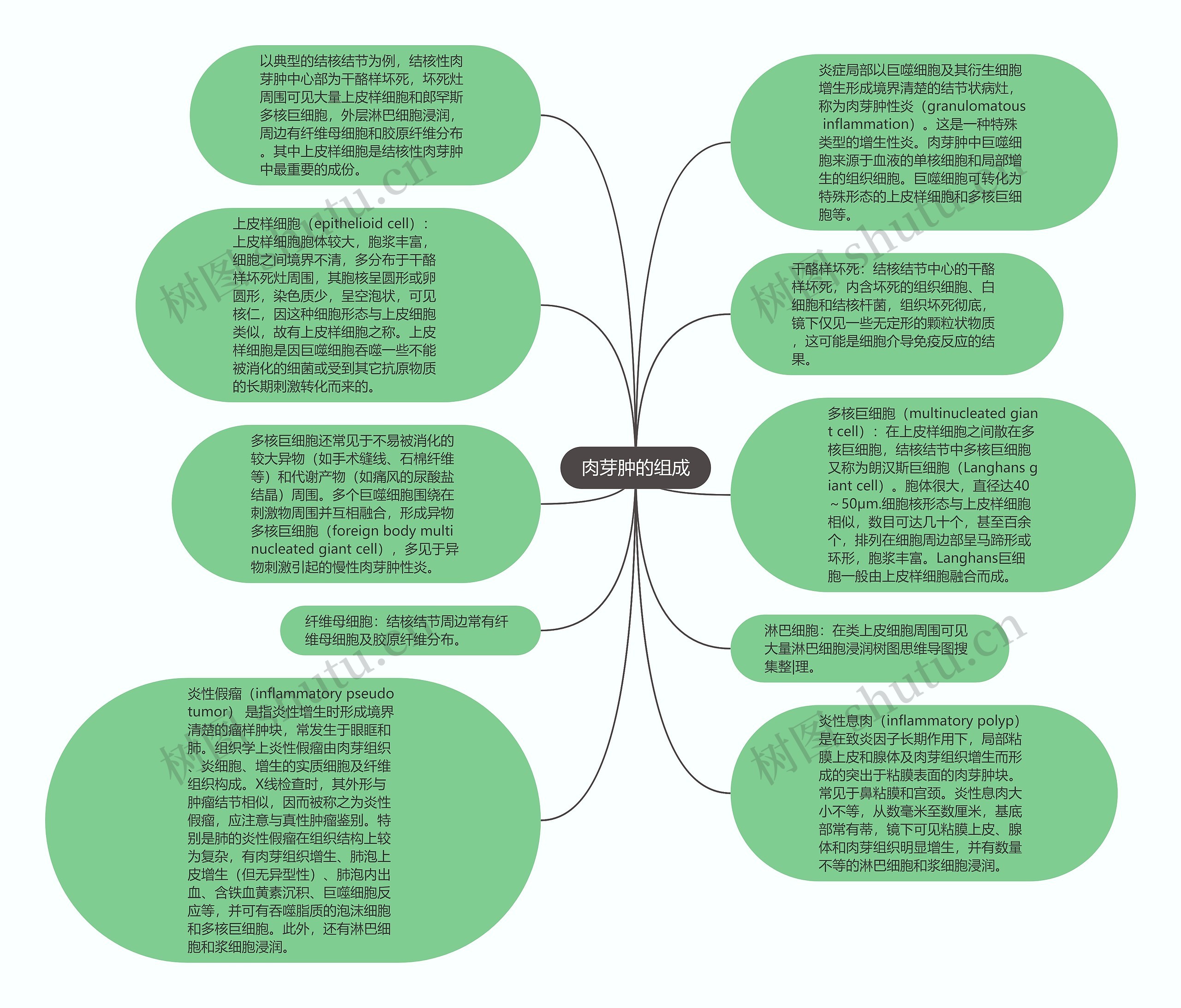 肉芽肿的组成思维导图高清图 肉芽肿的组成思维导图