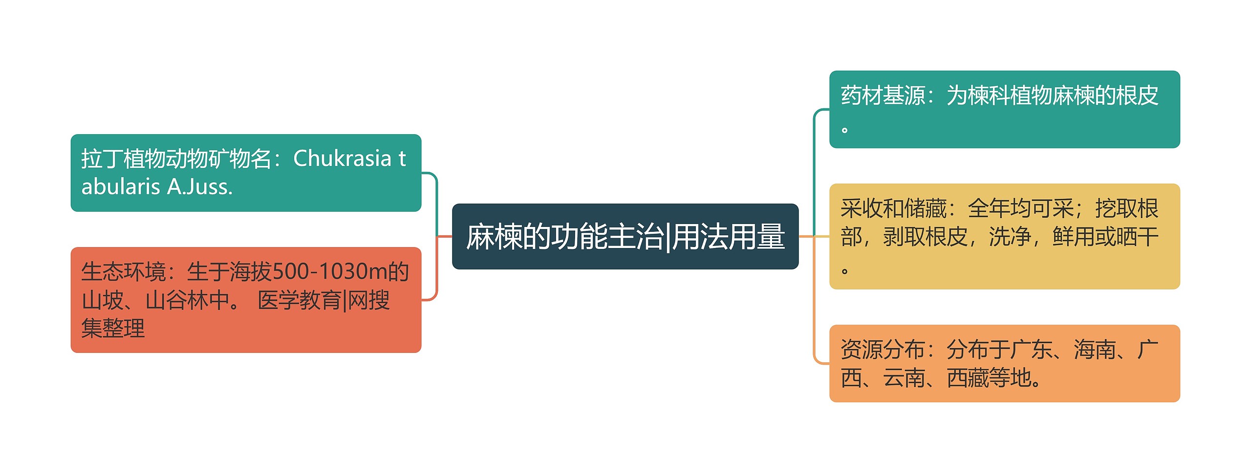 麻楝的功能主治|用法用量思维导图