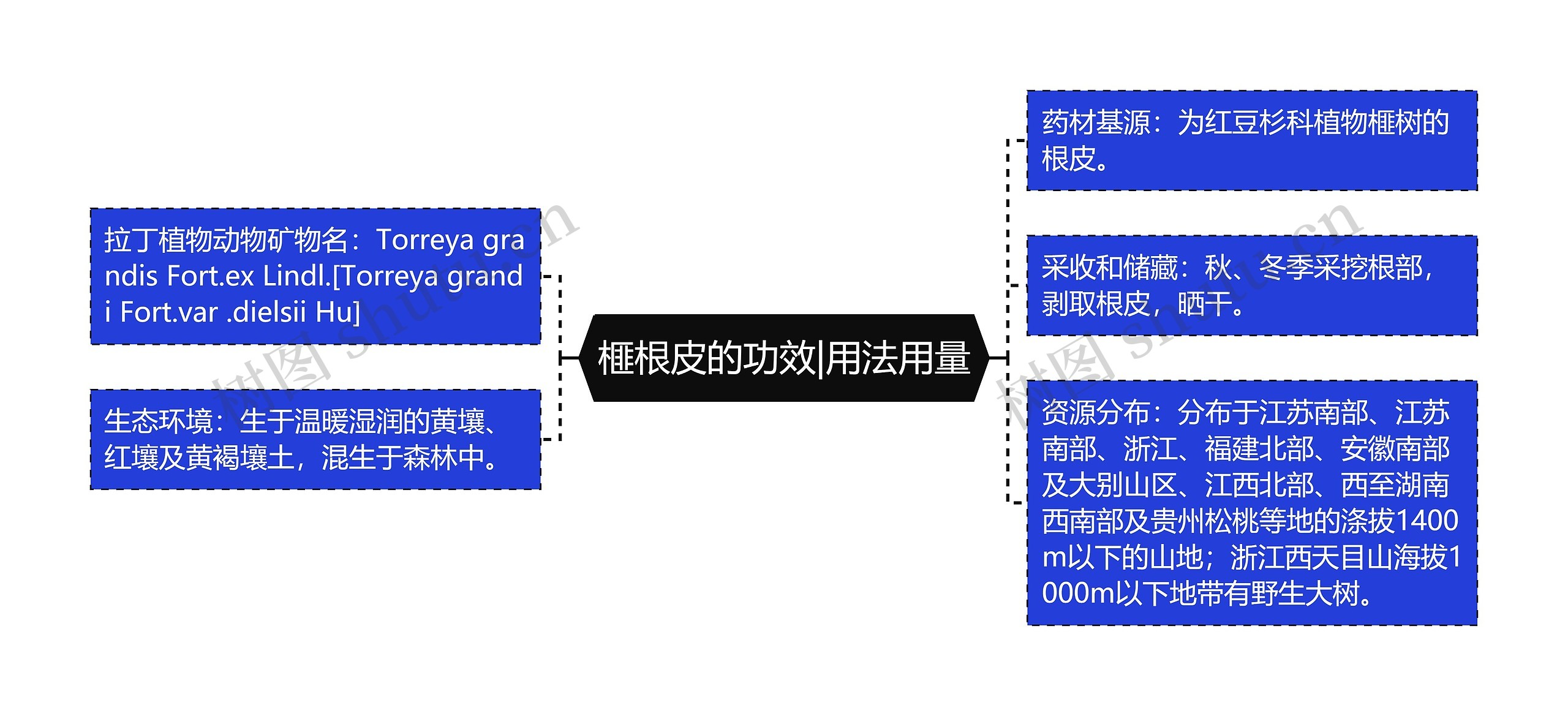 榧根皮的功效|用法用量