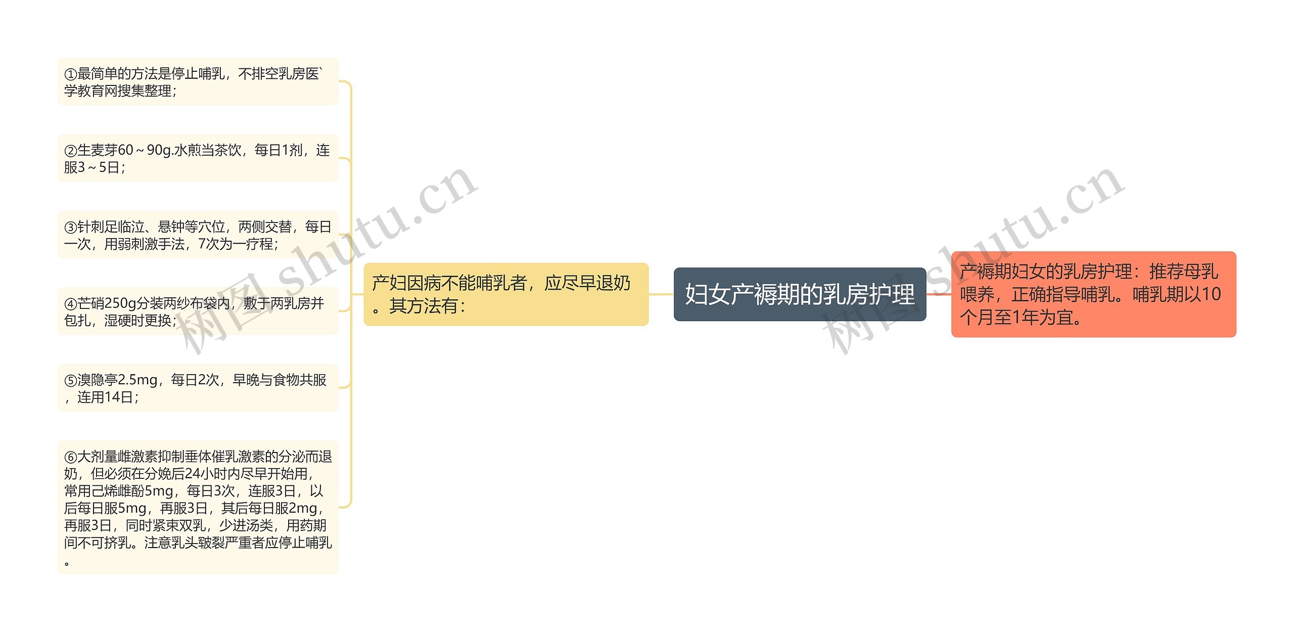 妇女产褥期的乳房护理思维导图