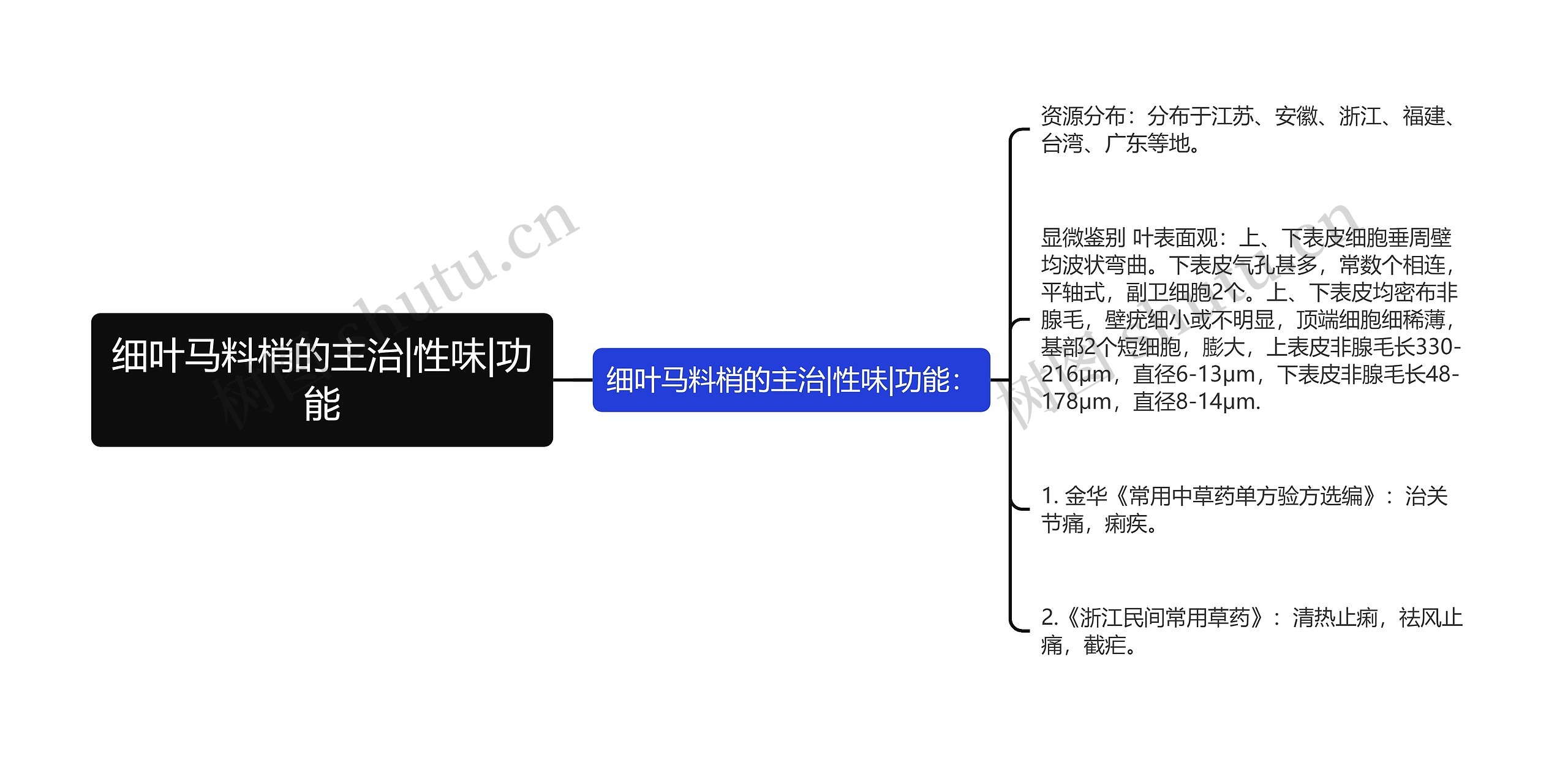 细叶马料梢的主治|性味|功能