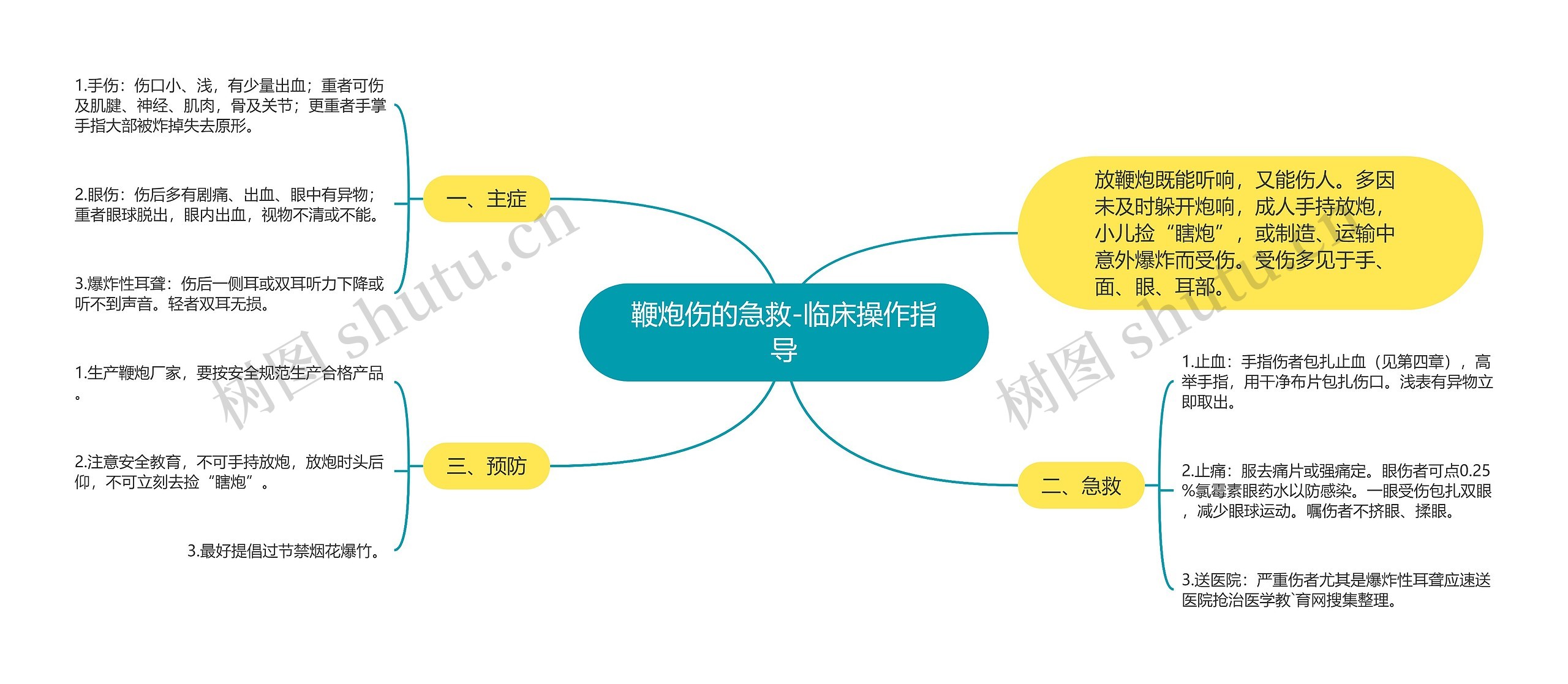 鞭炮伤的急救-临床操作指导思维导图