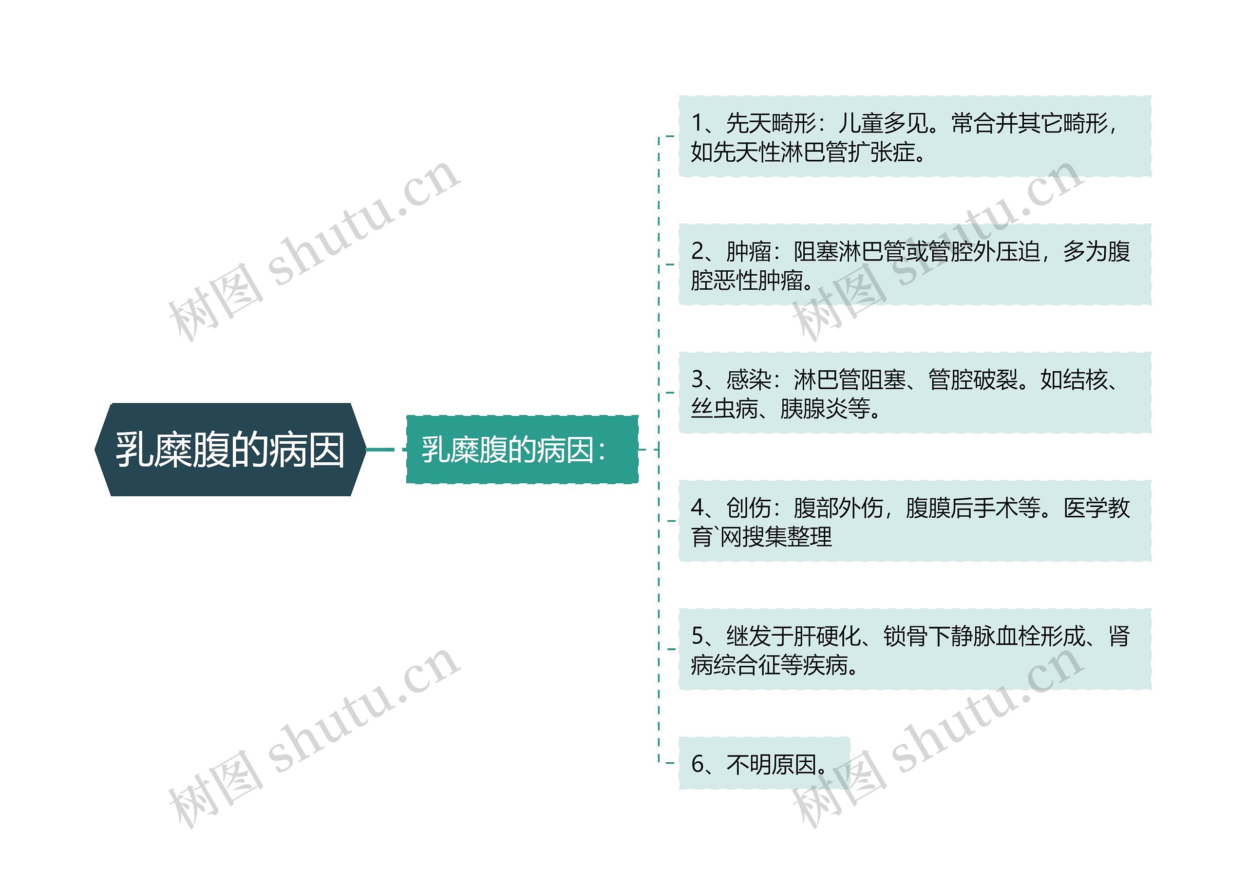 乳糜腹的病因思维导图