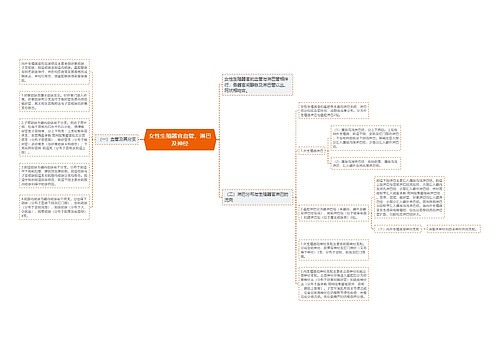女性生殖器官血管、淋巴及神经