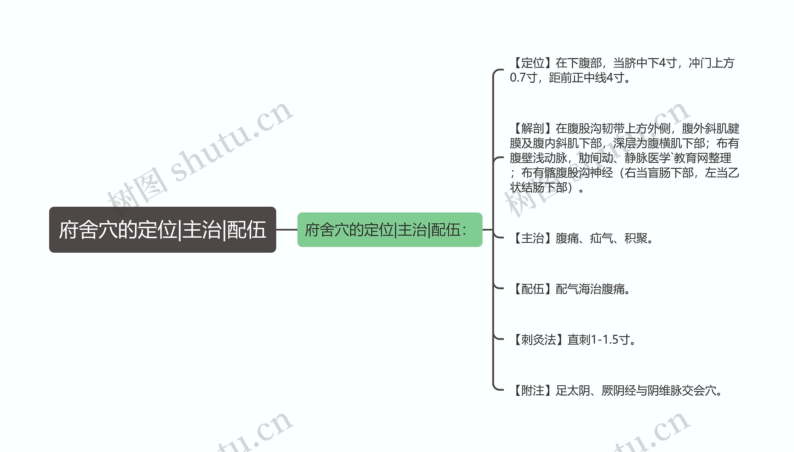 府舍穴的定位|主治|配伍