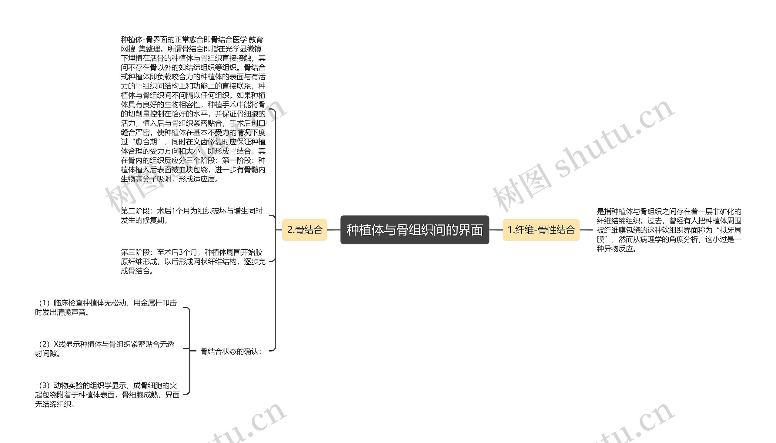种植体与骨组织间的界面 种植体与骨组织间的界面