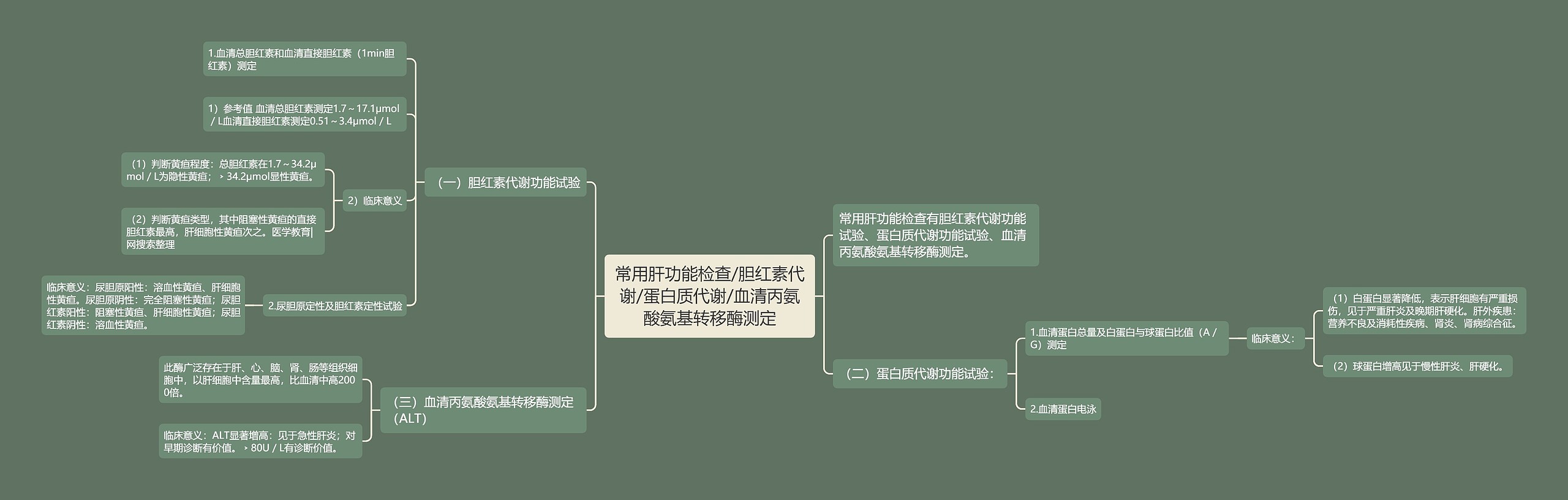 常用肝功能检查/胆红素代谢/蛋白质代谢/血清丙氨酸氨基转移酶测定思维导图