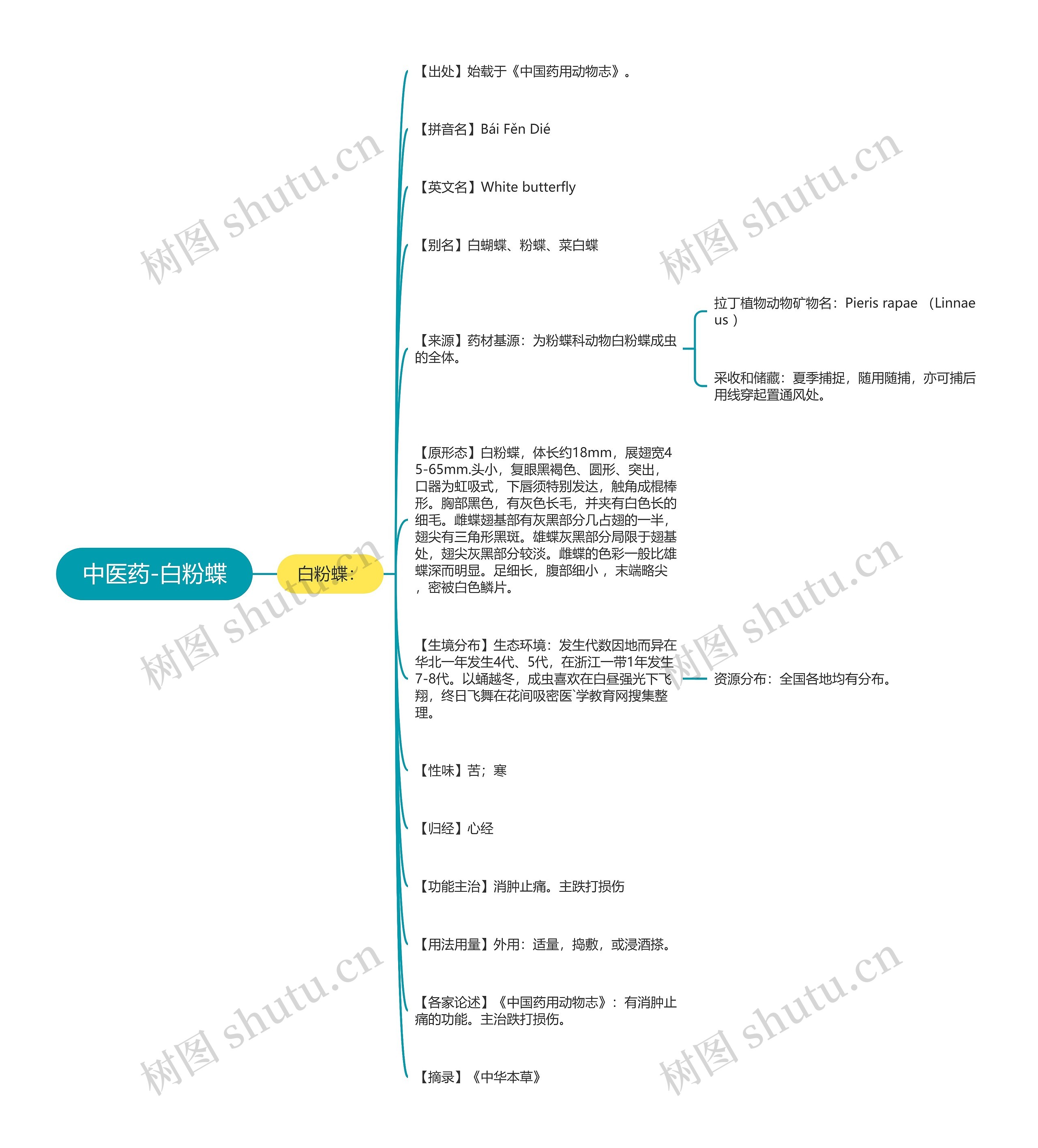 中医药-白粉蝶思维导图