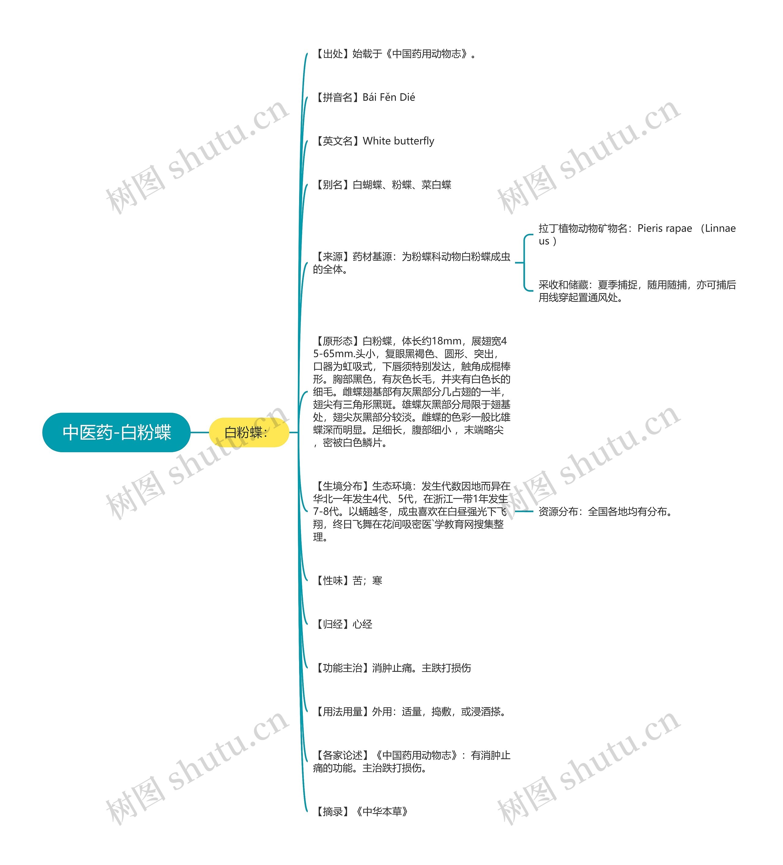 中医药-白粉蝶 中医药-白粉蝶