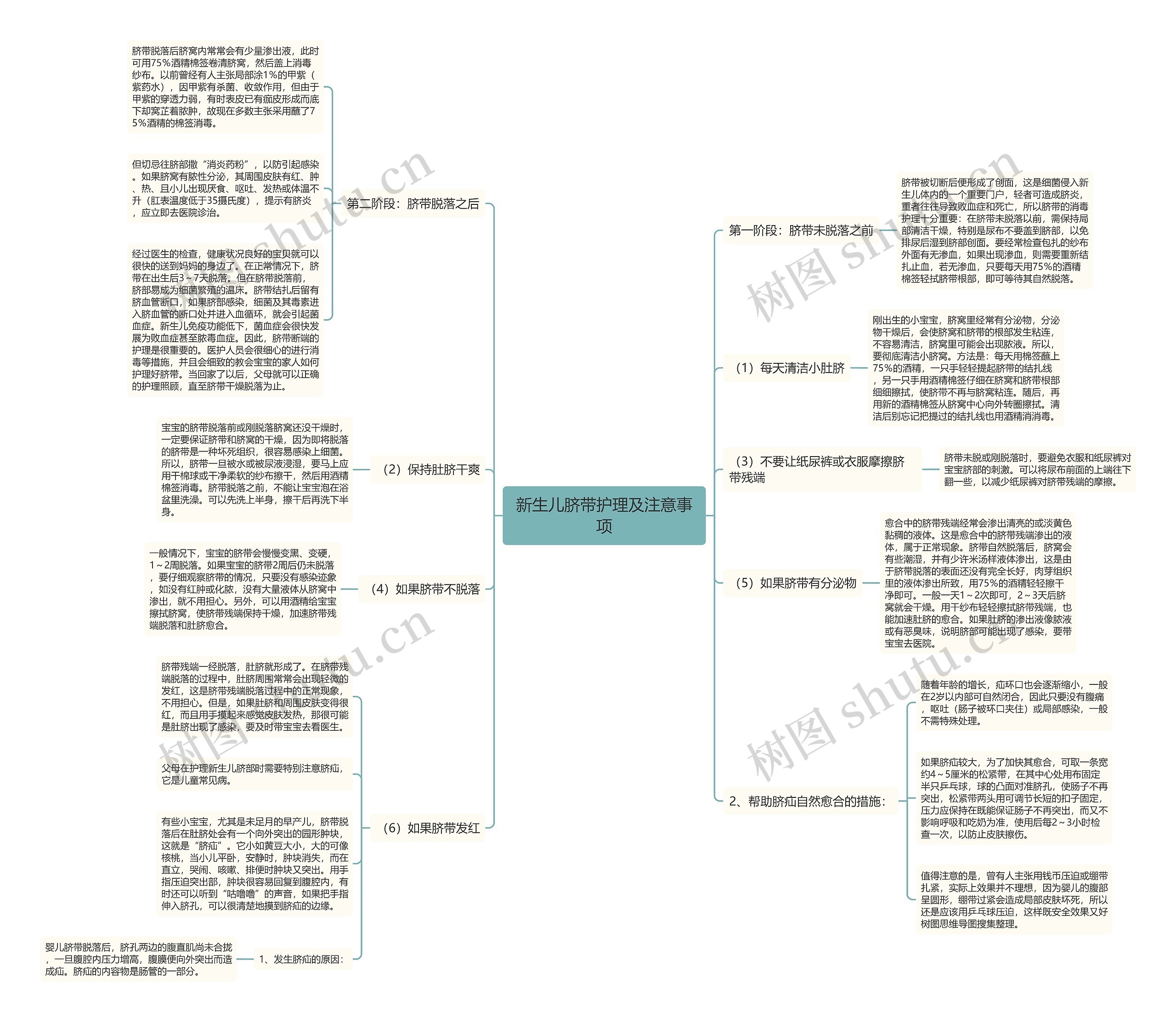 新生儿脐带护理及注意事项思维导图