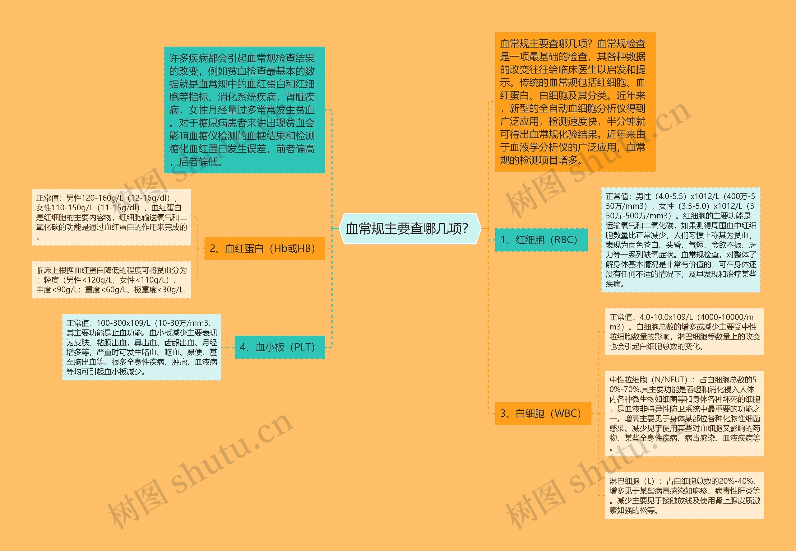 血常规主要查哪几项？思维导图