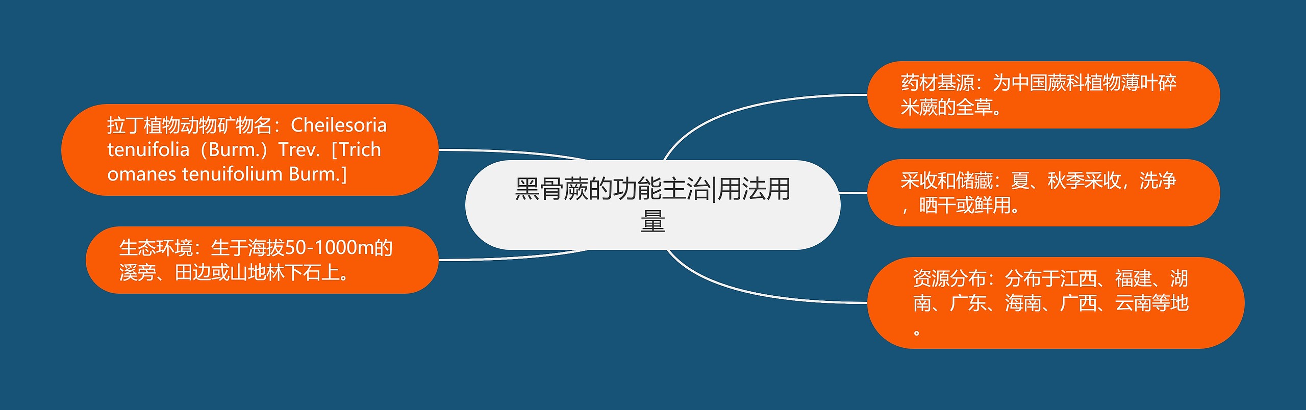 黑骨蕨的功能主治|用法用量 黑骨蕨的功能主治|用法用量