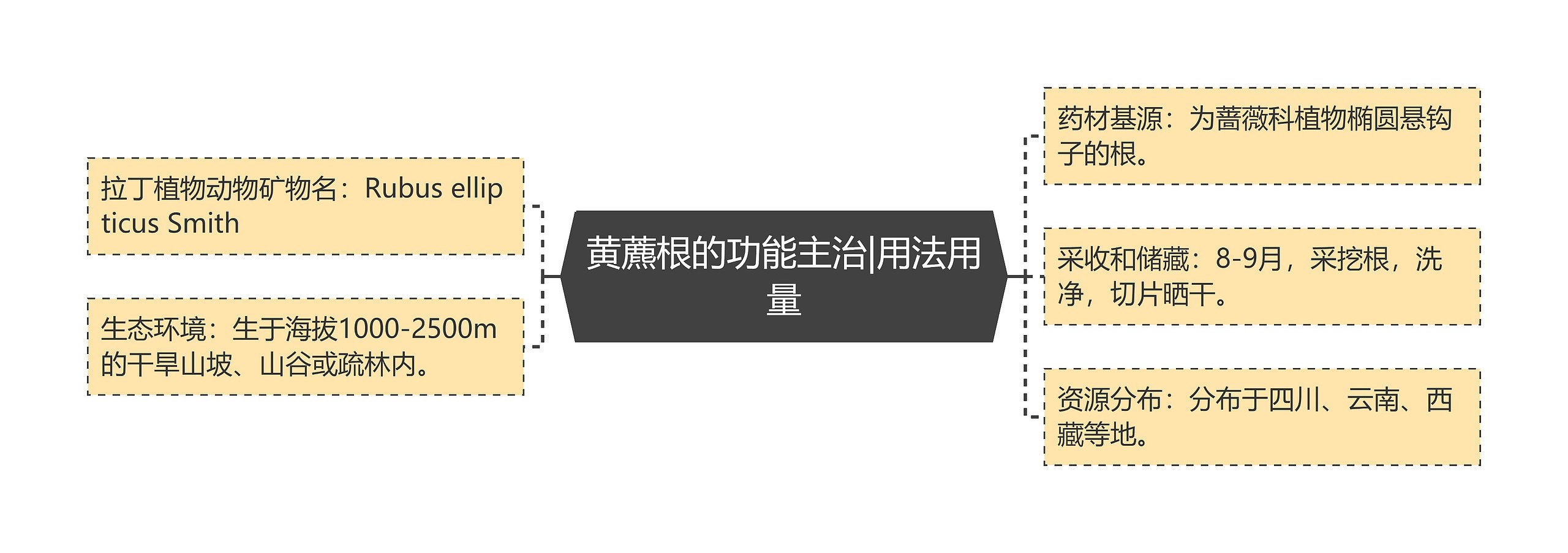 黄藨根的功能主治|用法用量思维导图