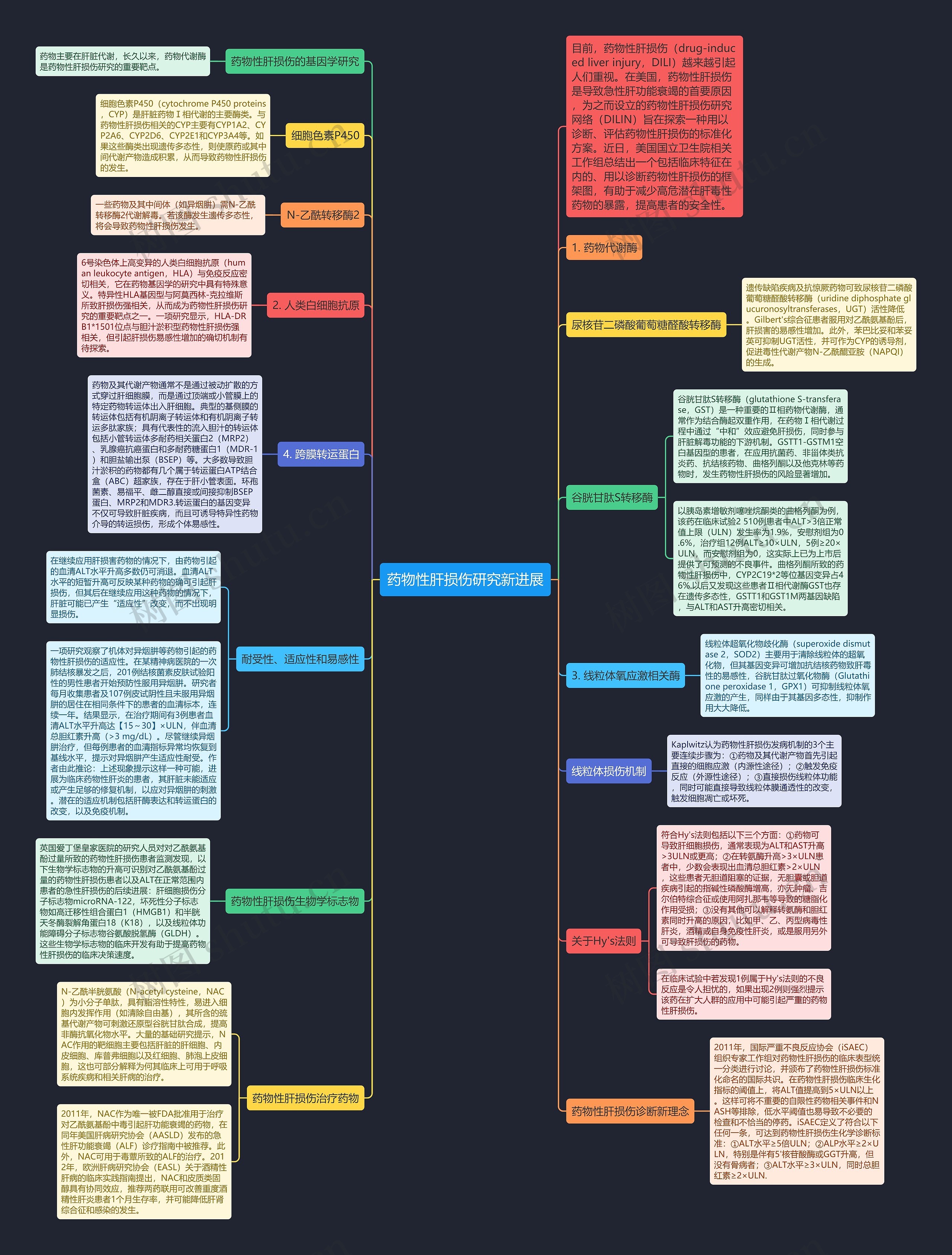 药物性肝损伤研究新进展思维导图