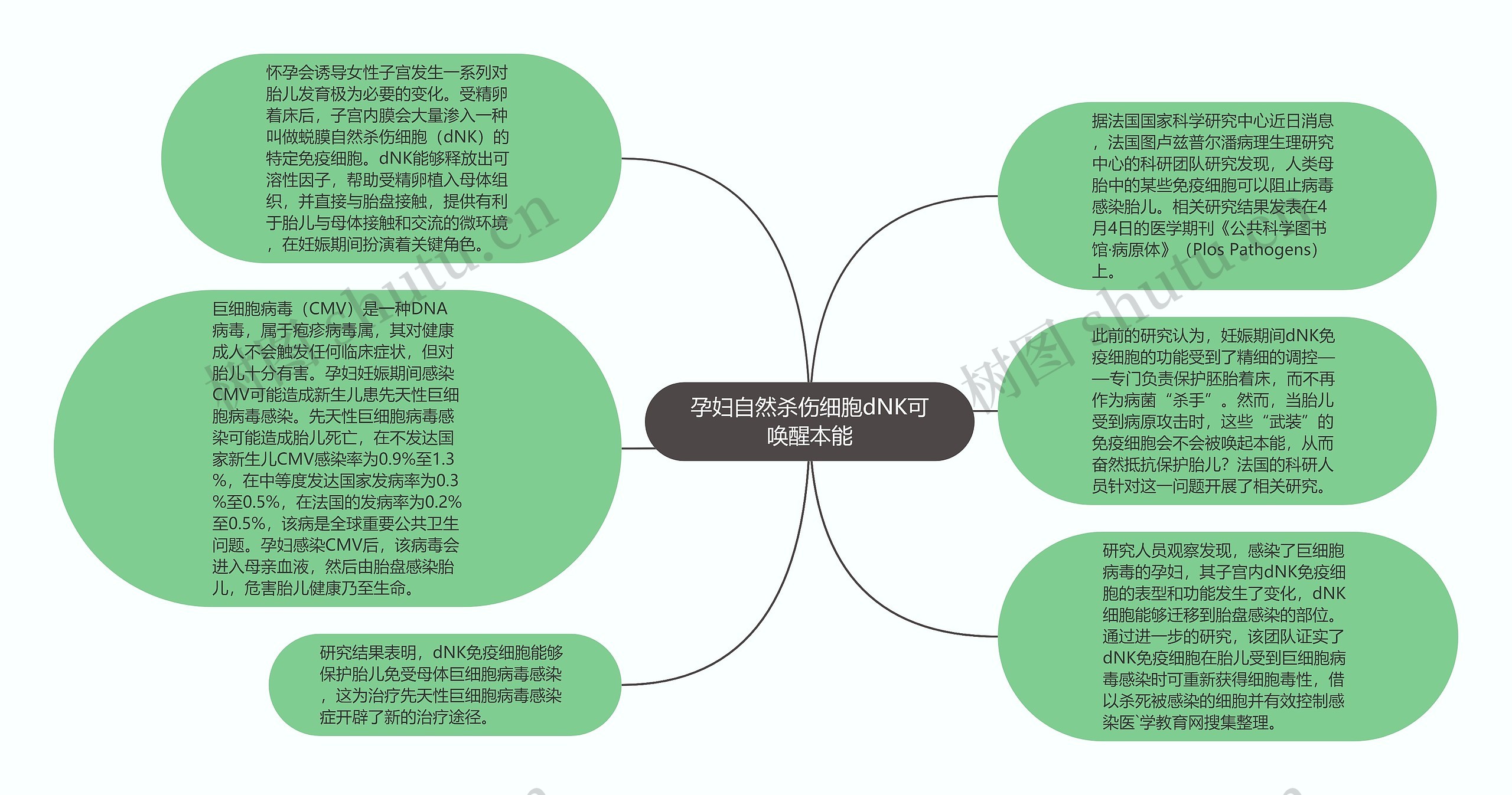 孕妇自然杀伤细胞dNK可唤醒本能思维导图