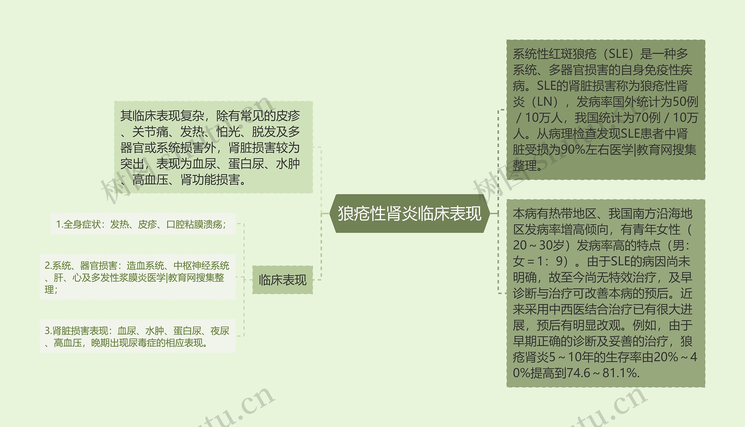 狼疮性肾炎临床表现思维导图