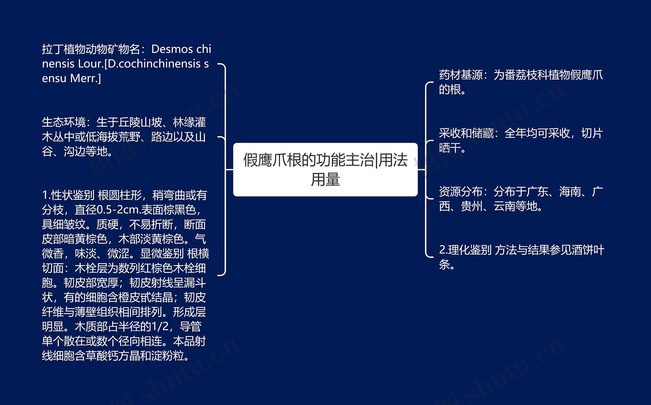 假鹰爪根的功能主治|用法用量思维导图