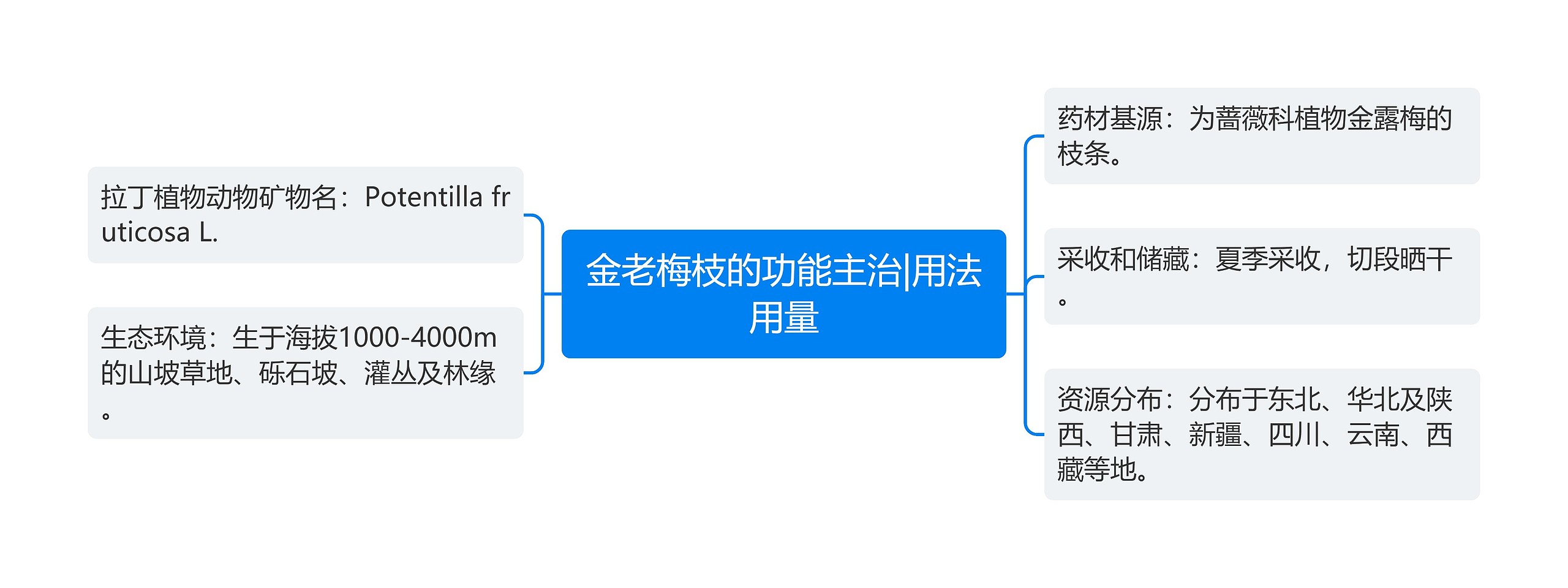 金老梅枝的功能主治|用法用量思维导图