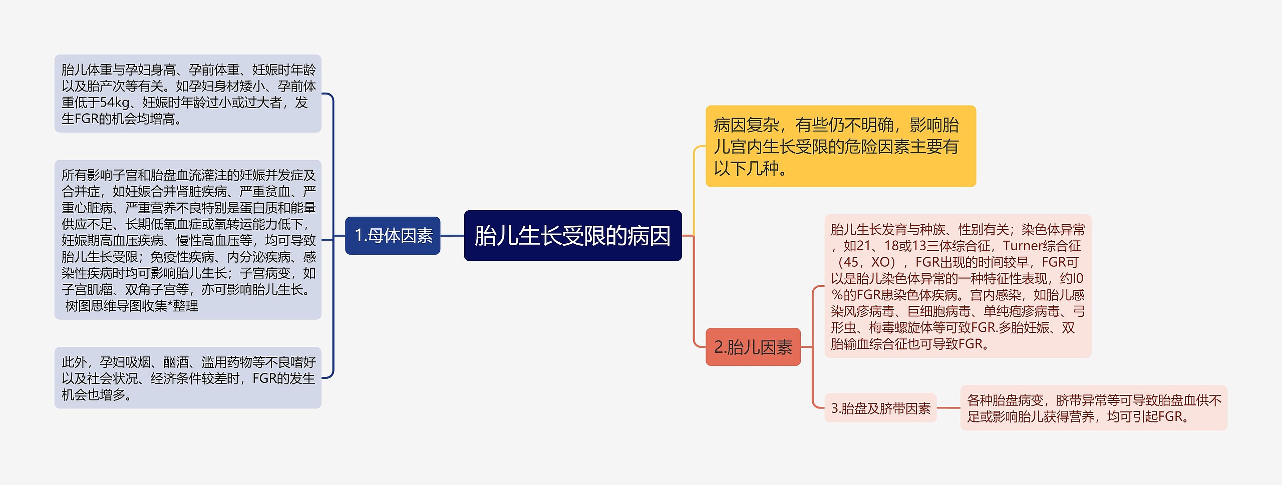 胎儿生长受限的病因思维导图