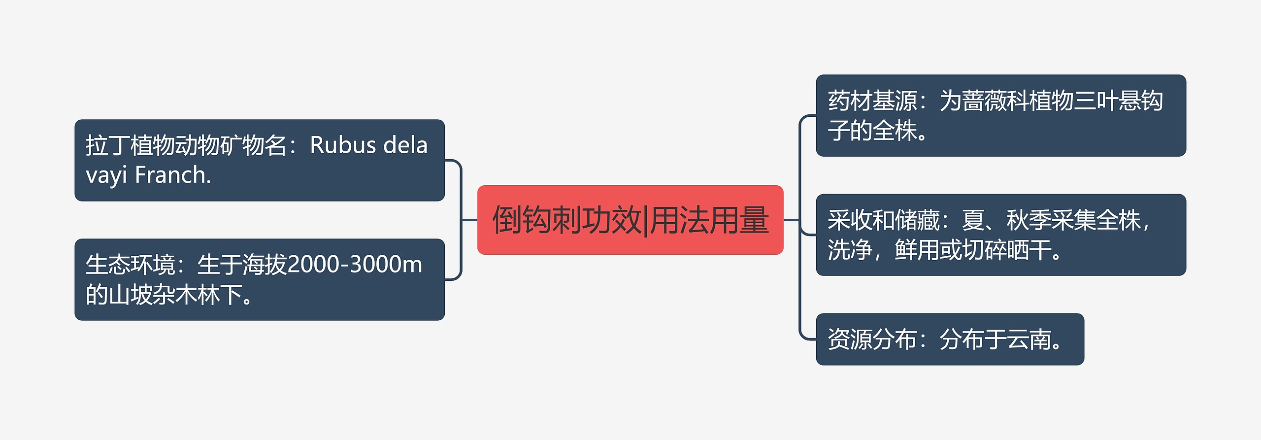 倒钩刺功效|用法用量