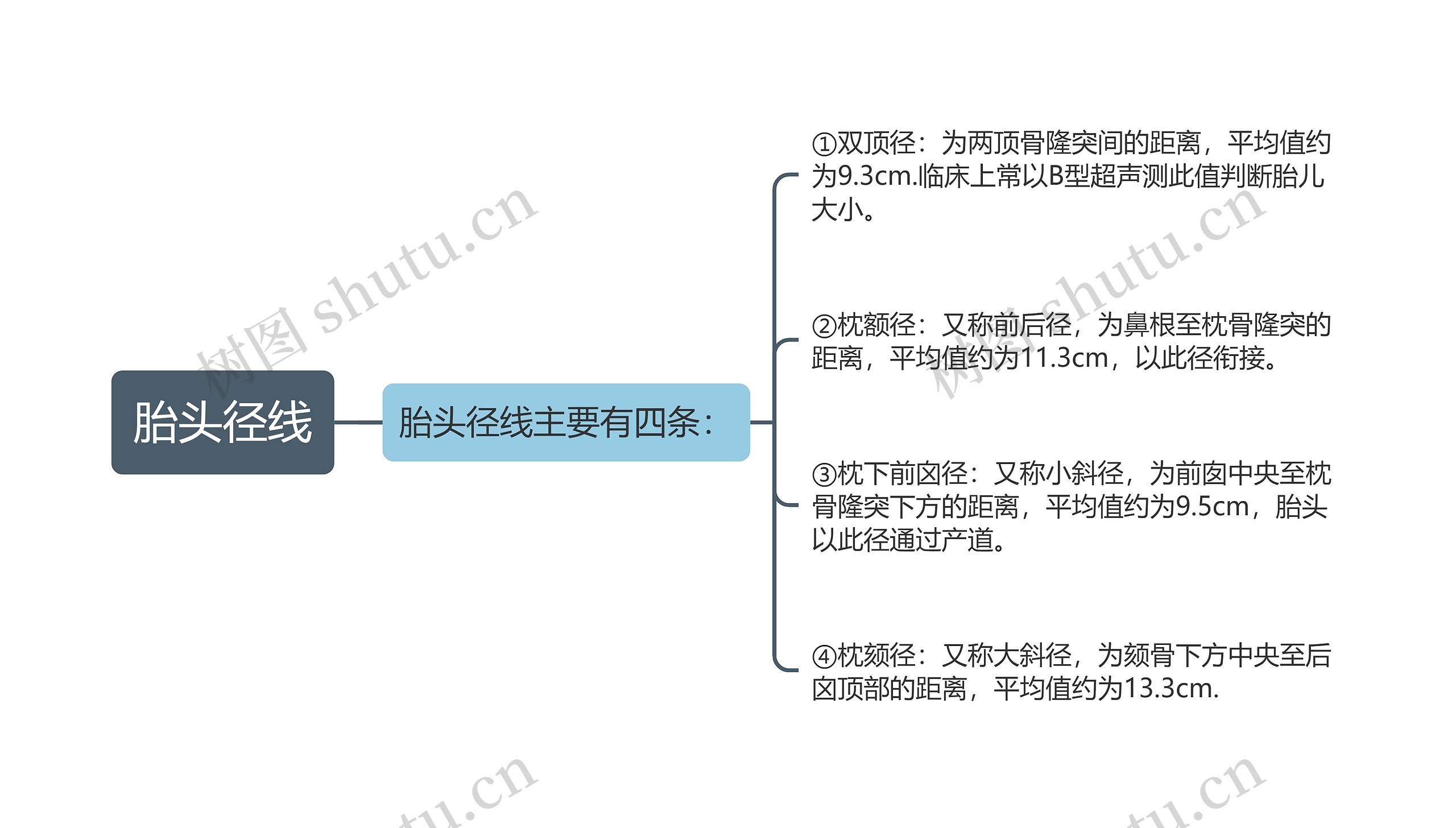 胎头径线