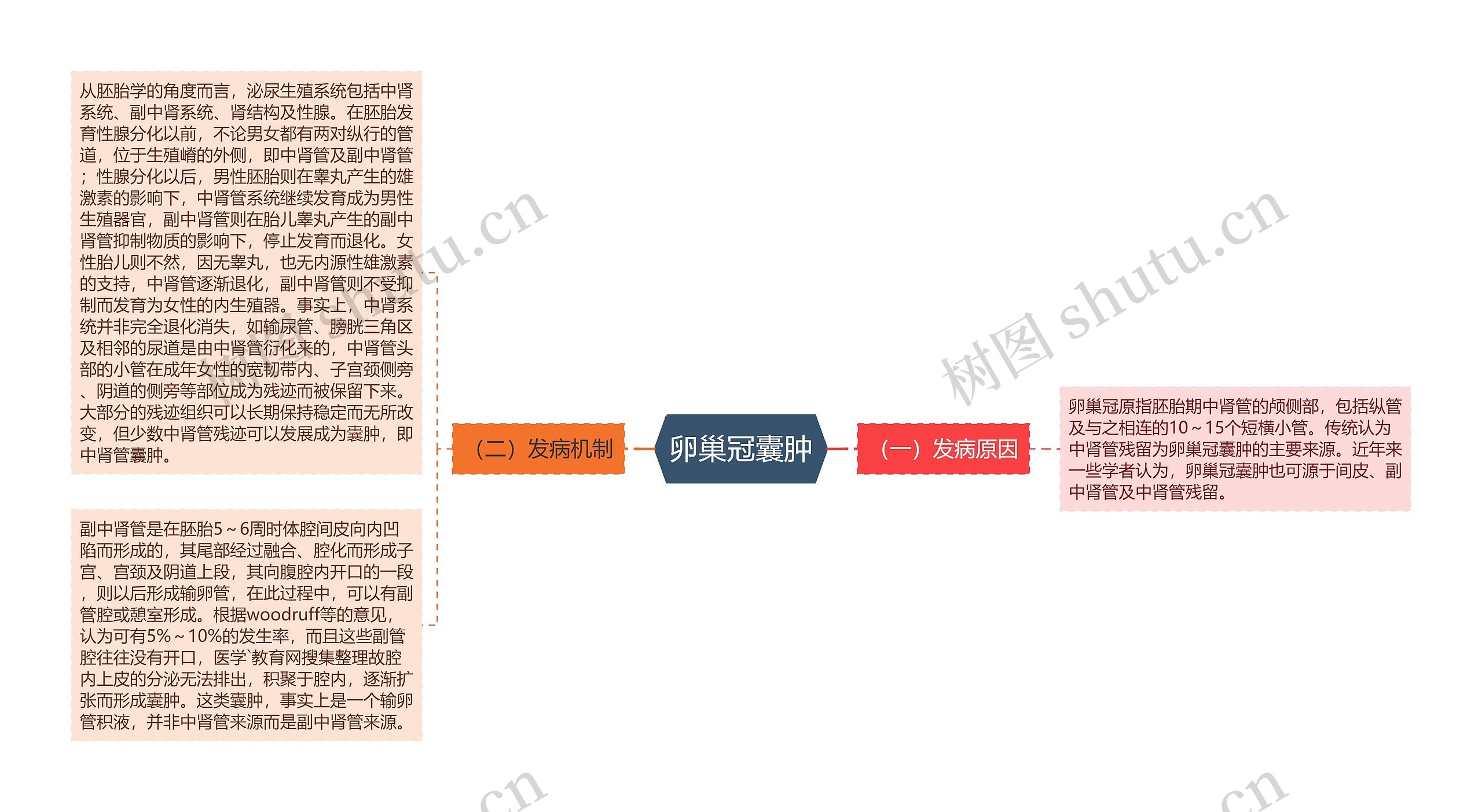 卵巢冠囊肿思维导图