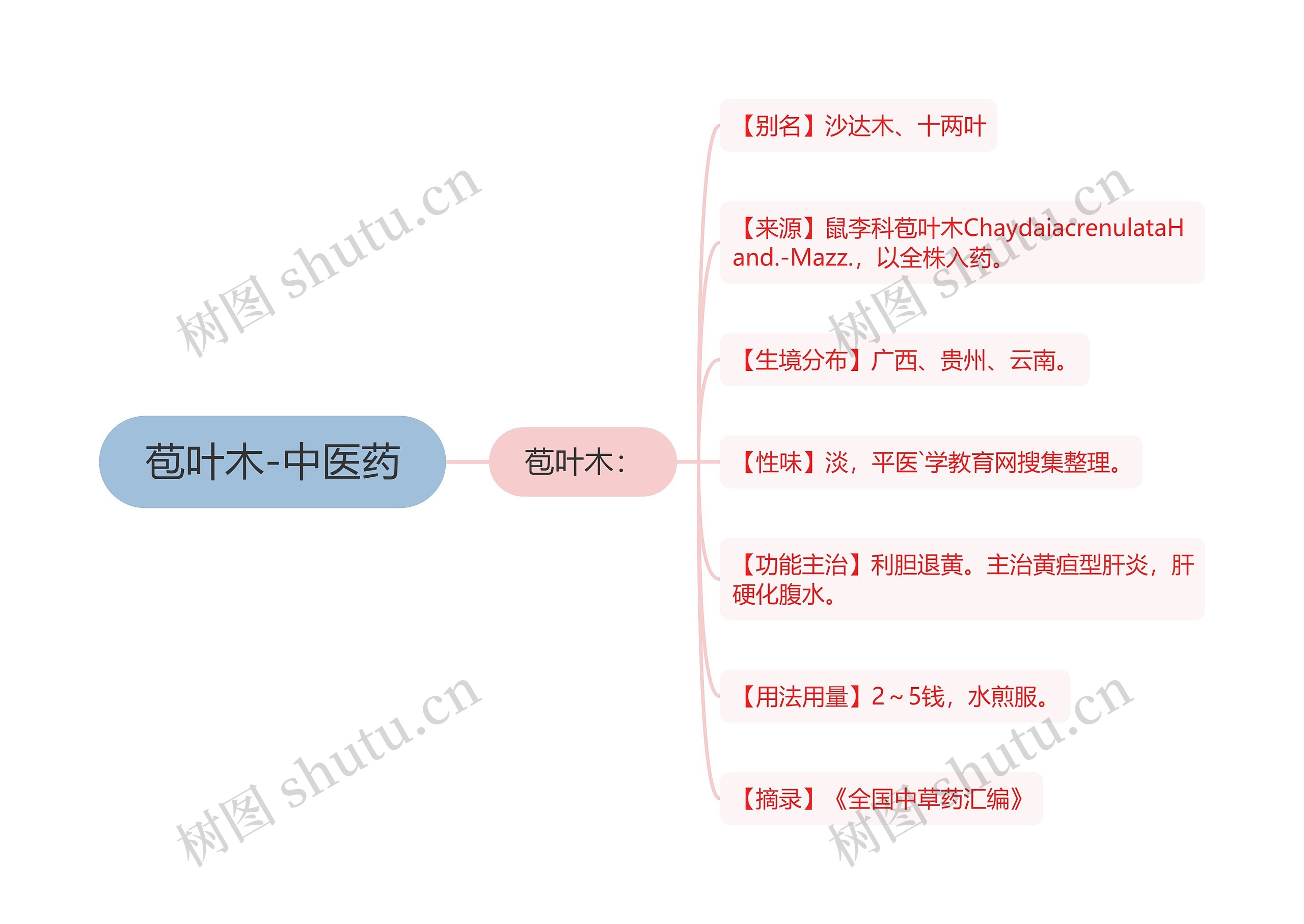 苞叶木-中医药思维导图