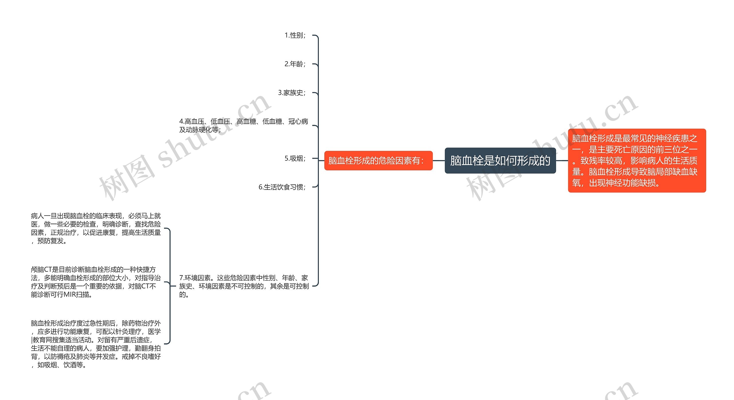 脑血栓是如何形成的思维导图