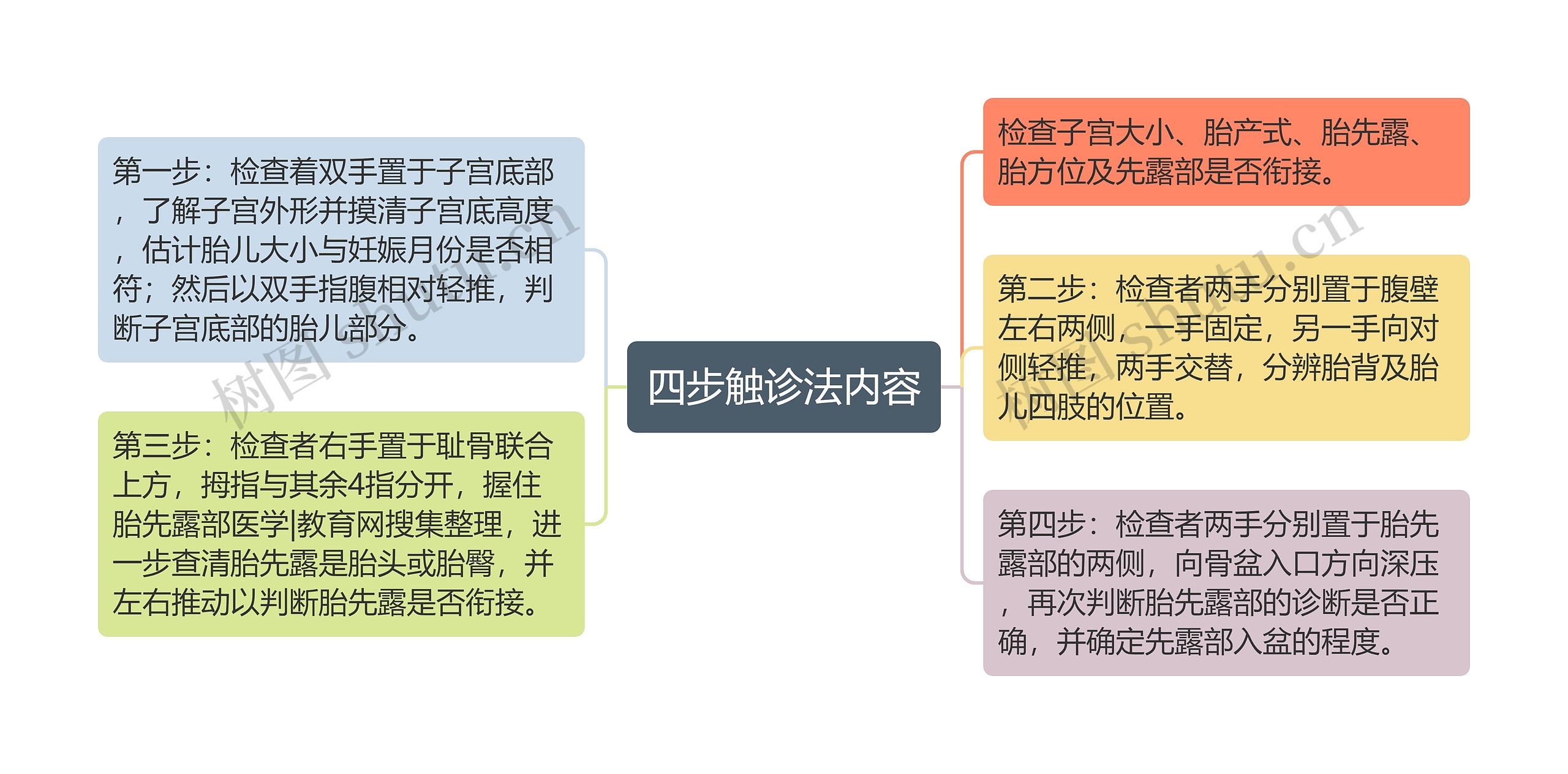 四步触诊法内容思维导图