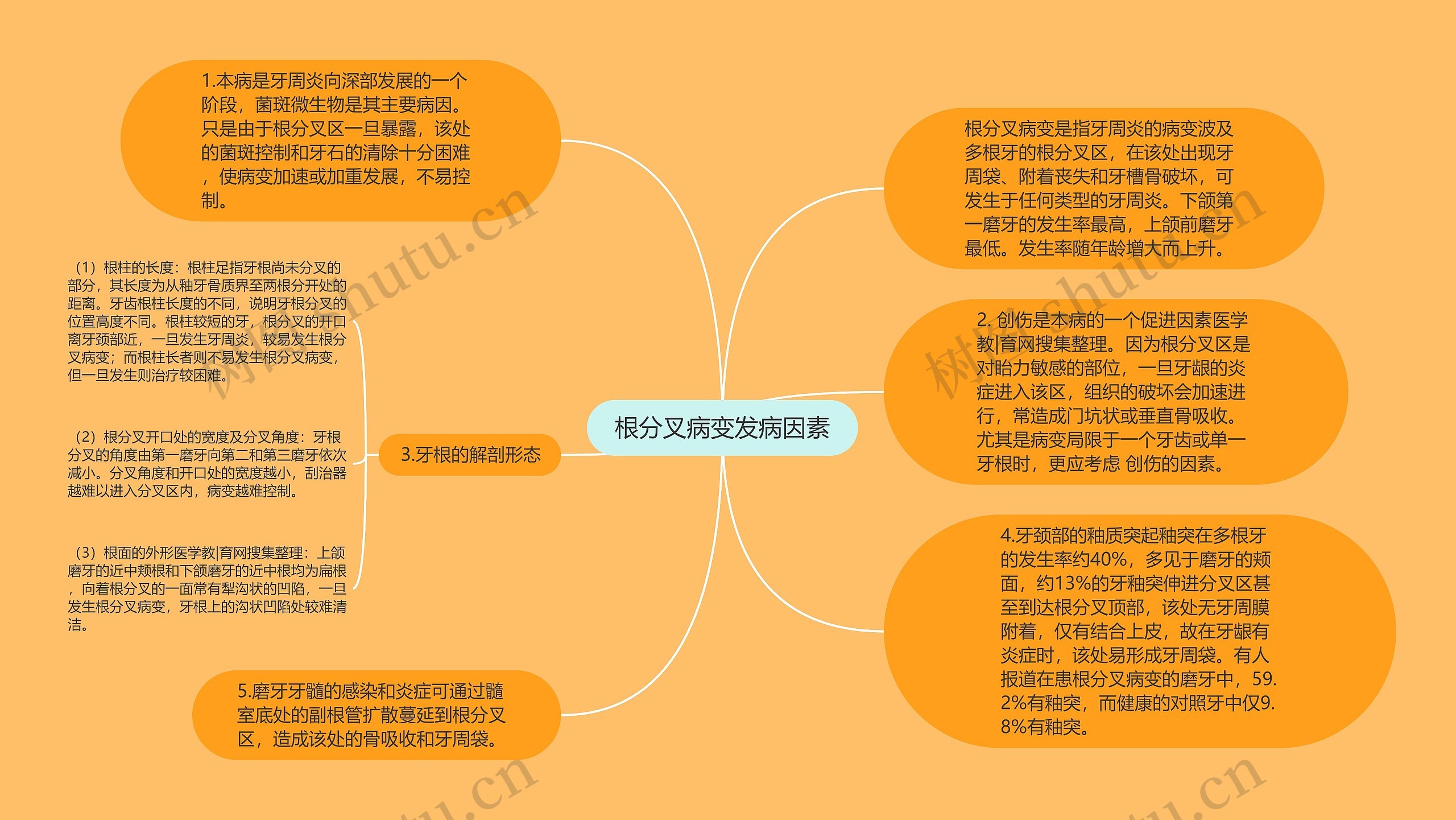 根分叉病变发病因素思维导图