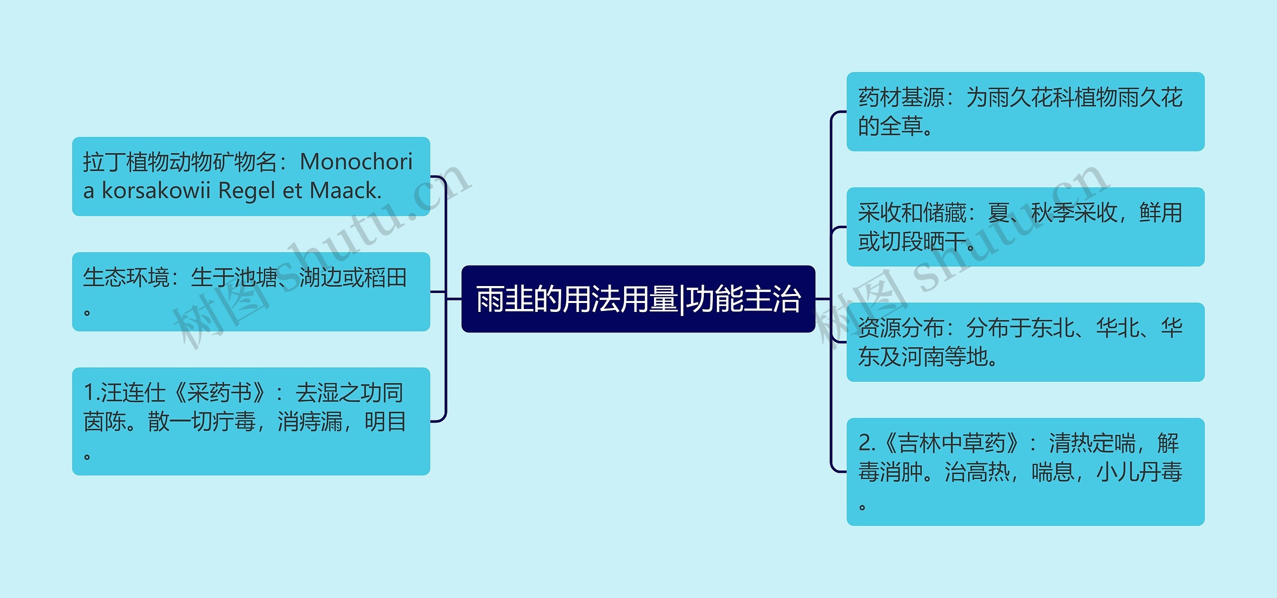 雨韭的用法用量|功能主治