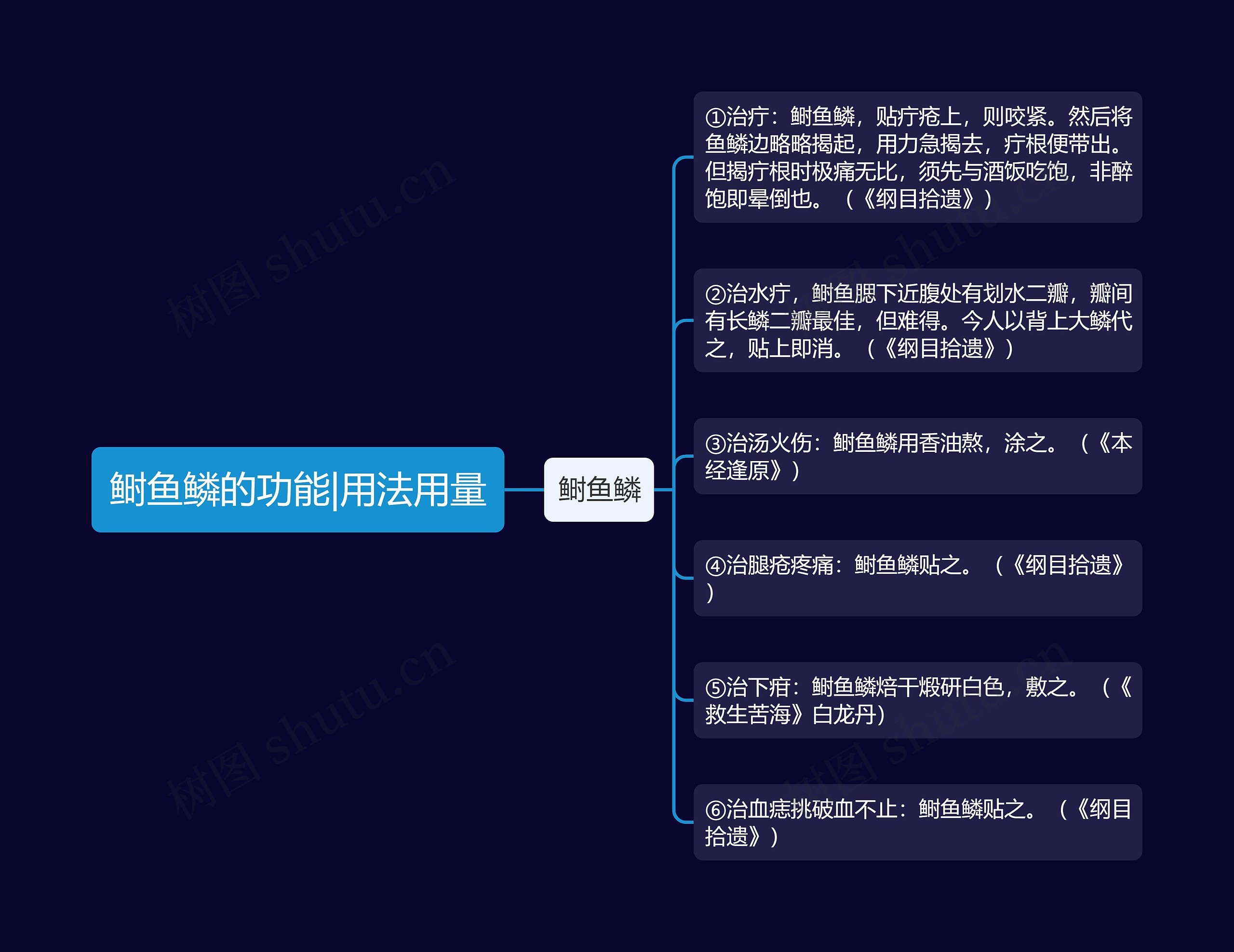 鲥鱼鳞的功能|用法用量思维导图