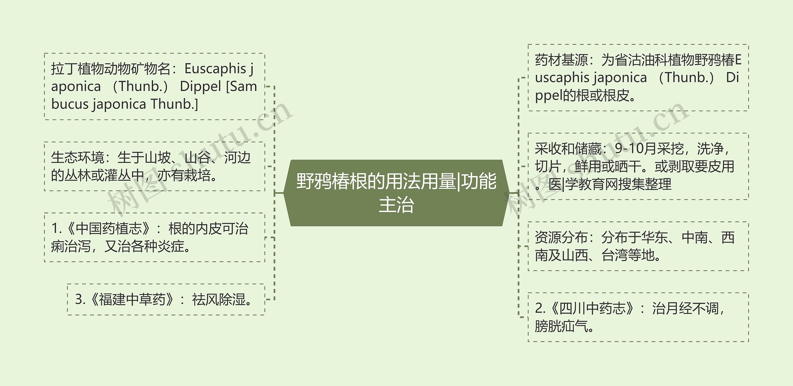 野鸦椿根的用法用量|功能主治 野鸦椿根的用法用量|功能主治