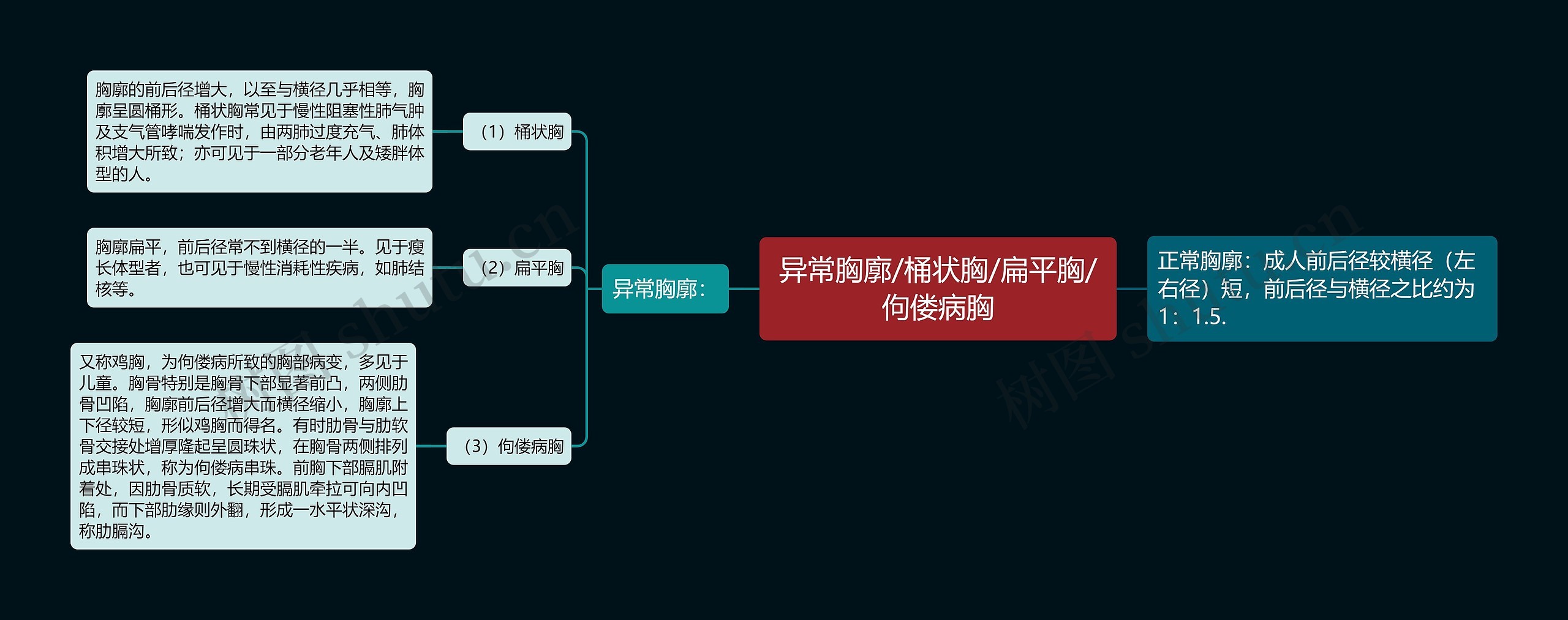 异常胸廓/桶状胸/扁平胸/佝偻病胸 异常胸廓/桶状胸/扁平胸/佝偻病胸