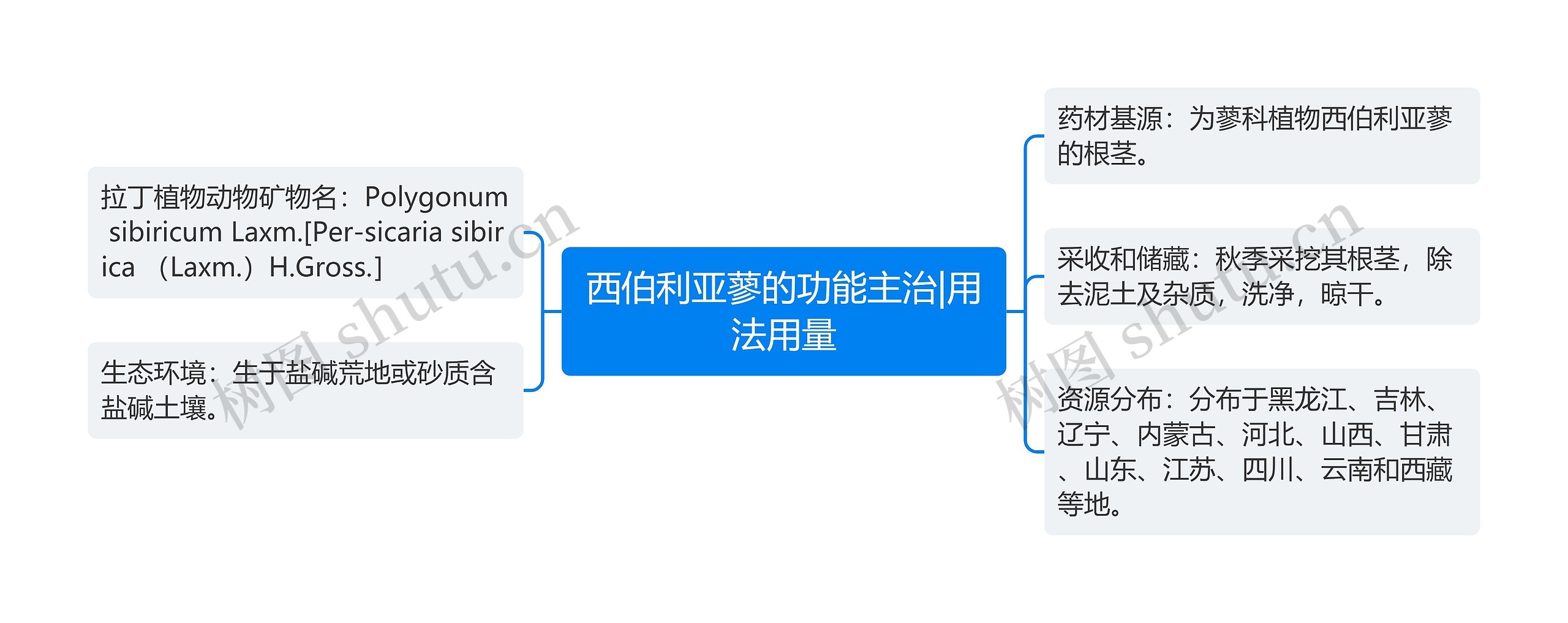 西伯利亚蓼的功能主治|用法用量